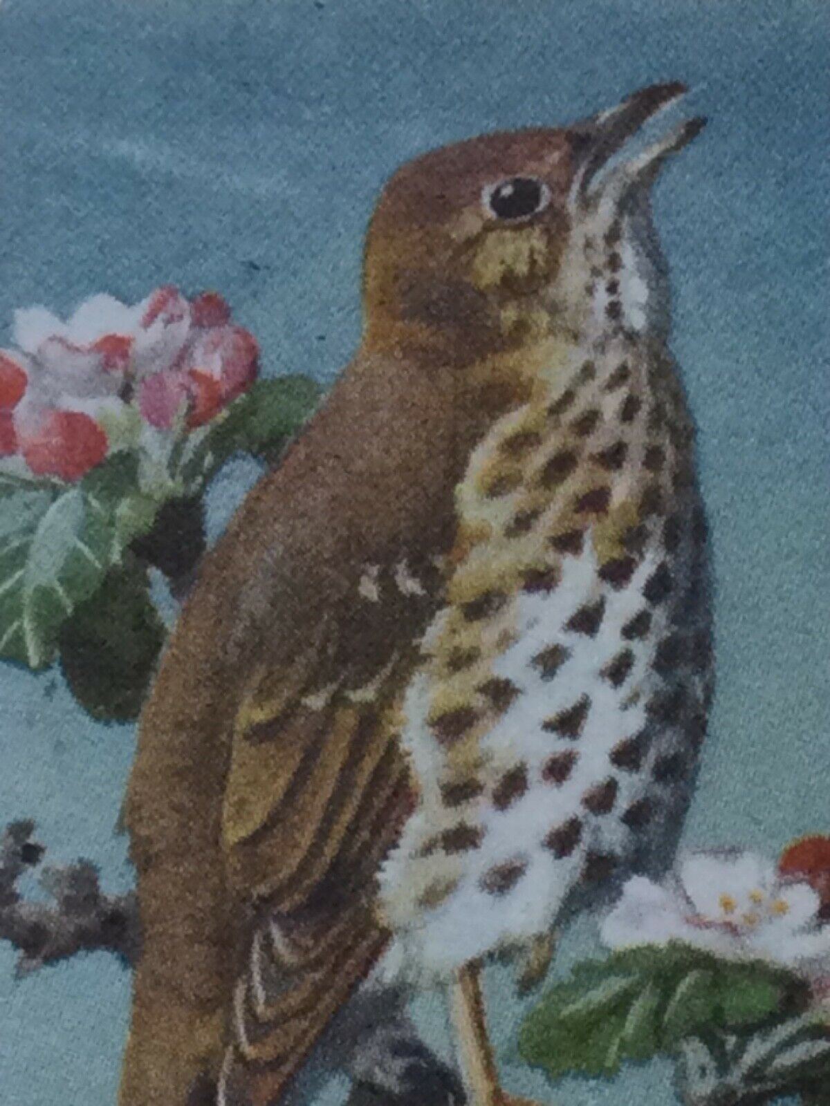 BIRD PORTRAITS Brooke Bond Tea Cards Sold Individually - take your pick