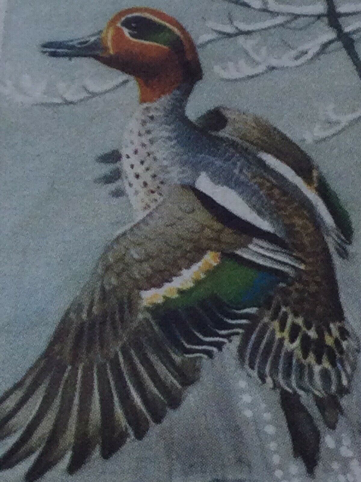 BIRD PORTRAITS Brooke Bond Tea Cards Sold Individually - take your pick