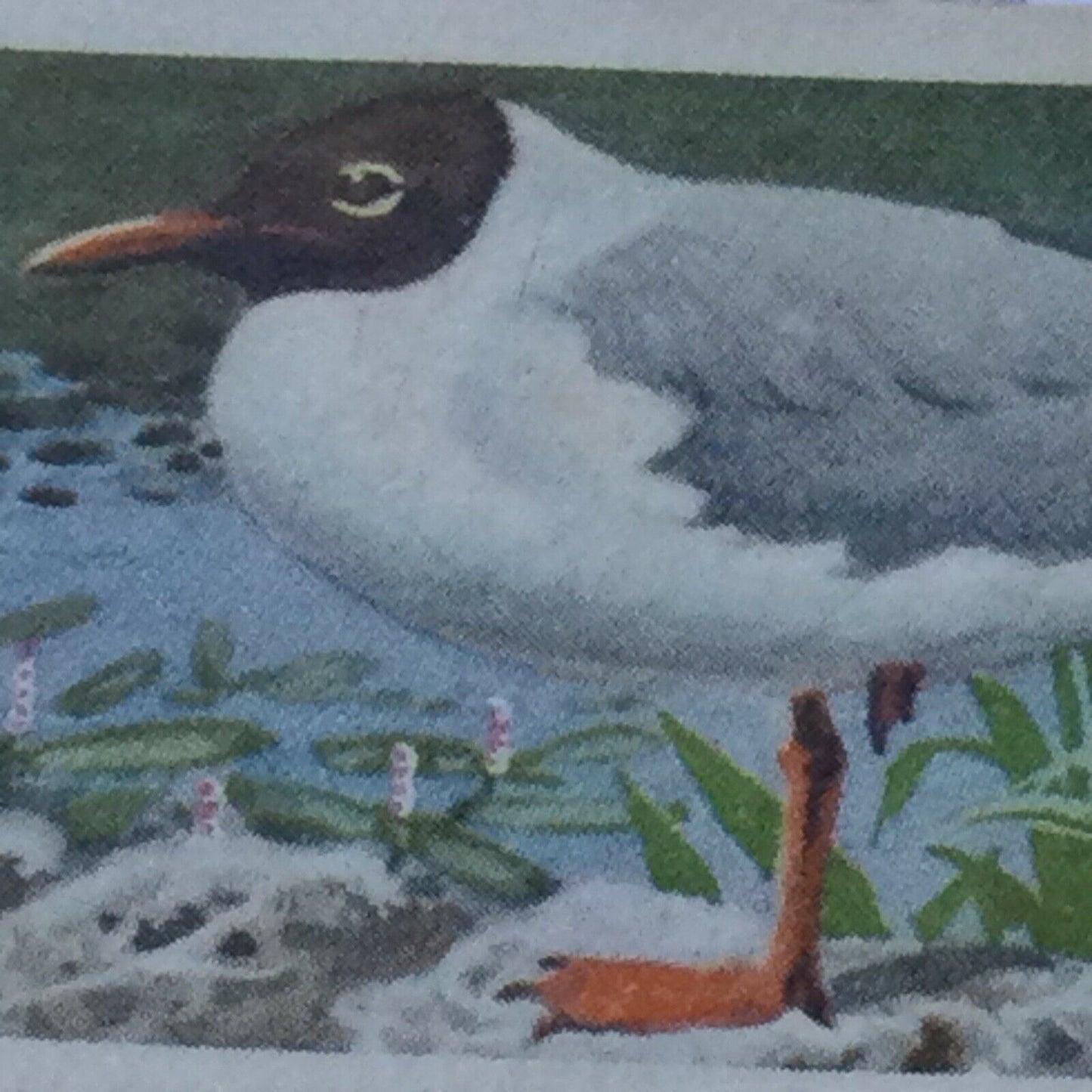 BIRD PORTRAITS Brooke Bond Tea Cards Sold Individually - take your pick