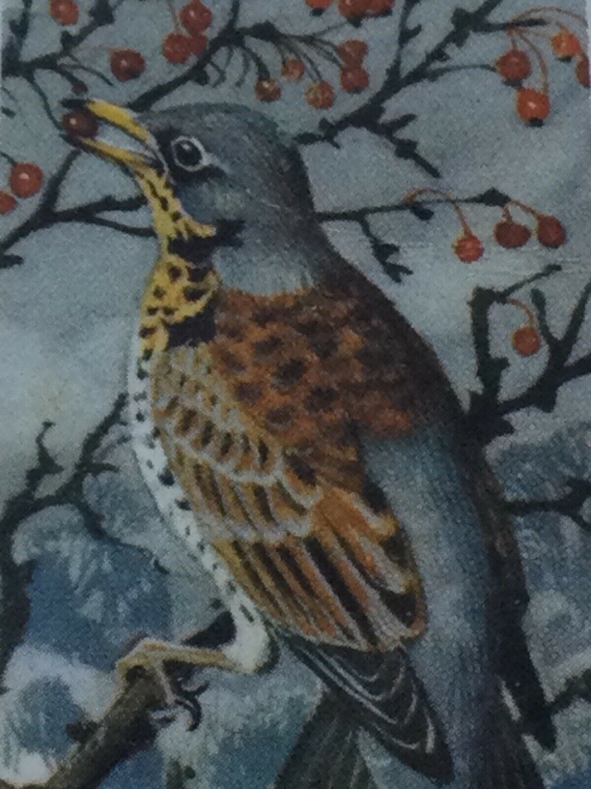 BIRD PORTRAITS Brooke Bond Tea Cards Sold Individually - take your pick