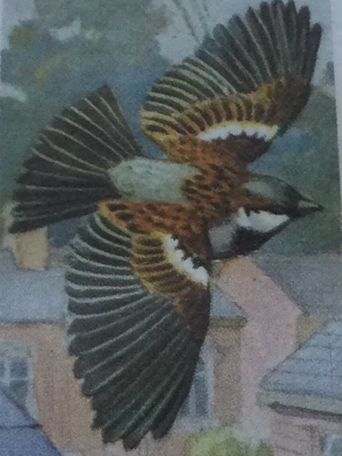 BIRD PORTRAITS Brooke Bond Tea Cards Sold Individually - take your pick