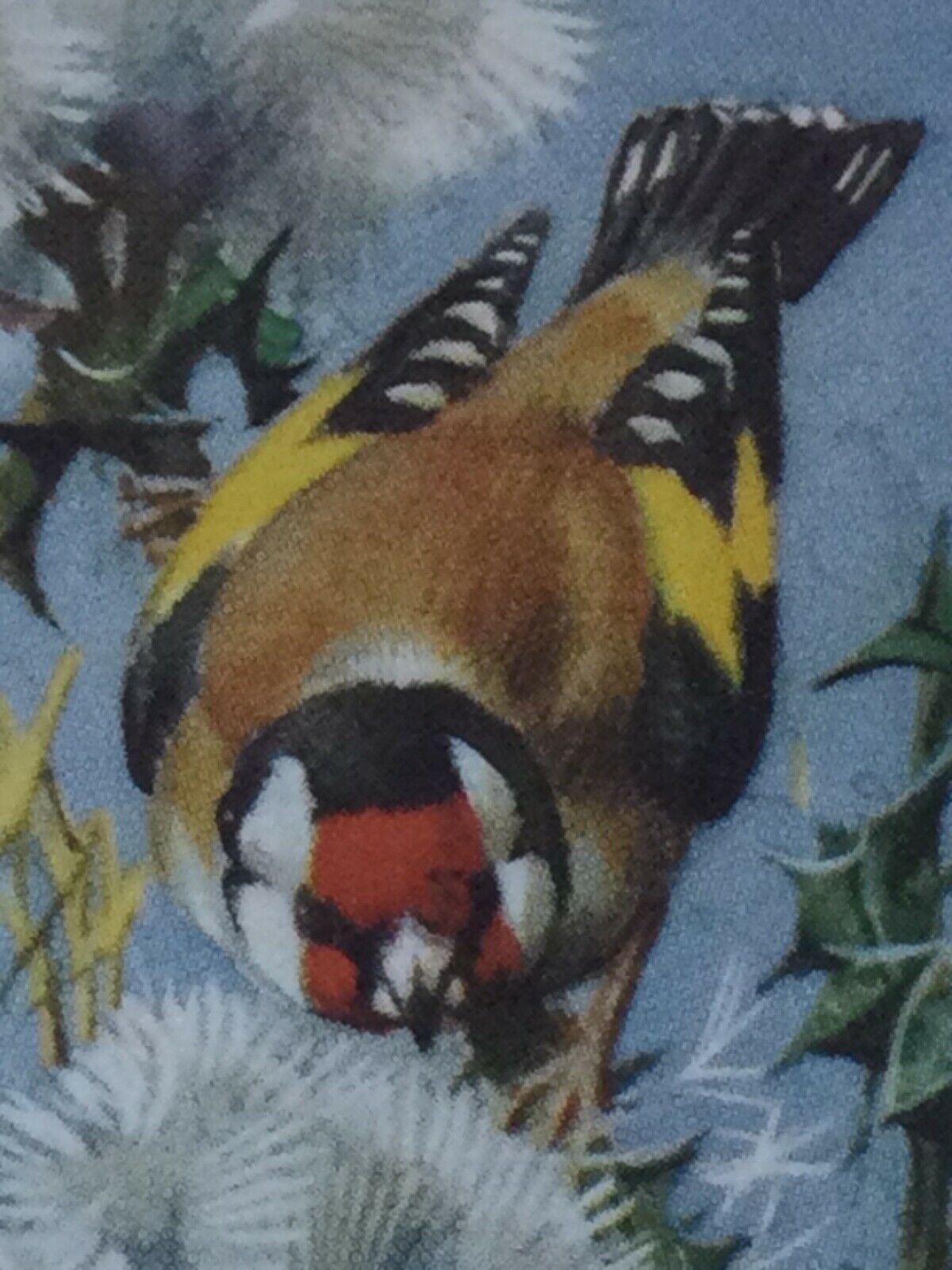 BIRD PORTRAITS Brooke Bond Tea Cards Sold Individually - take your pick
