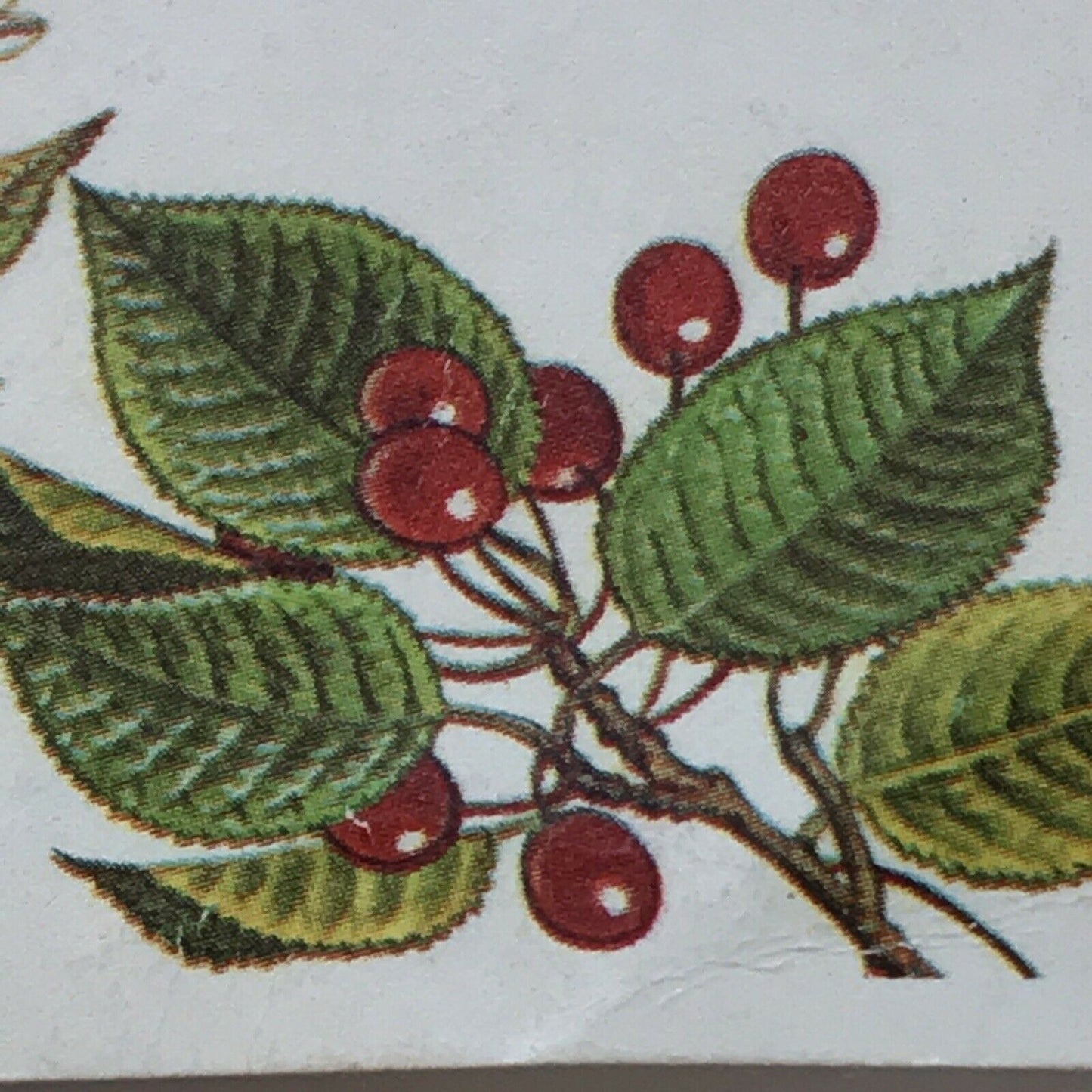 Brooke Bond Tea Card Trees In Britain No 22 GEAN FLOWERS & BERRIES 1960s