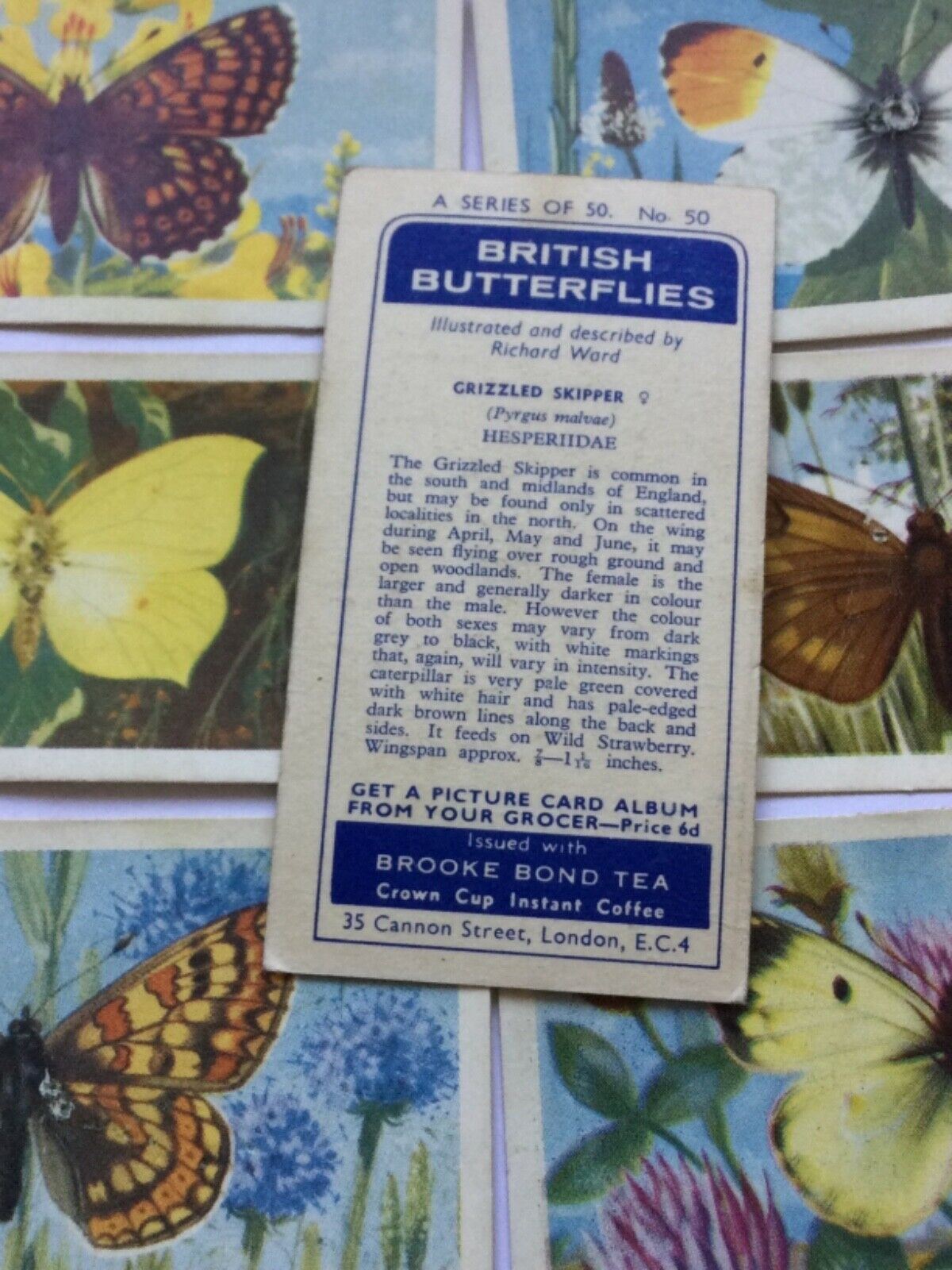 BRITISH BUTTERFLIES Brooke Bond Tea Cards - sold individually - take your pick