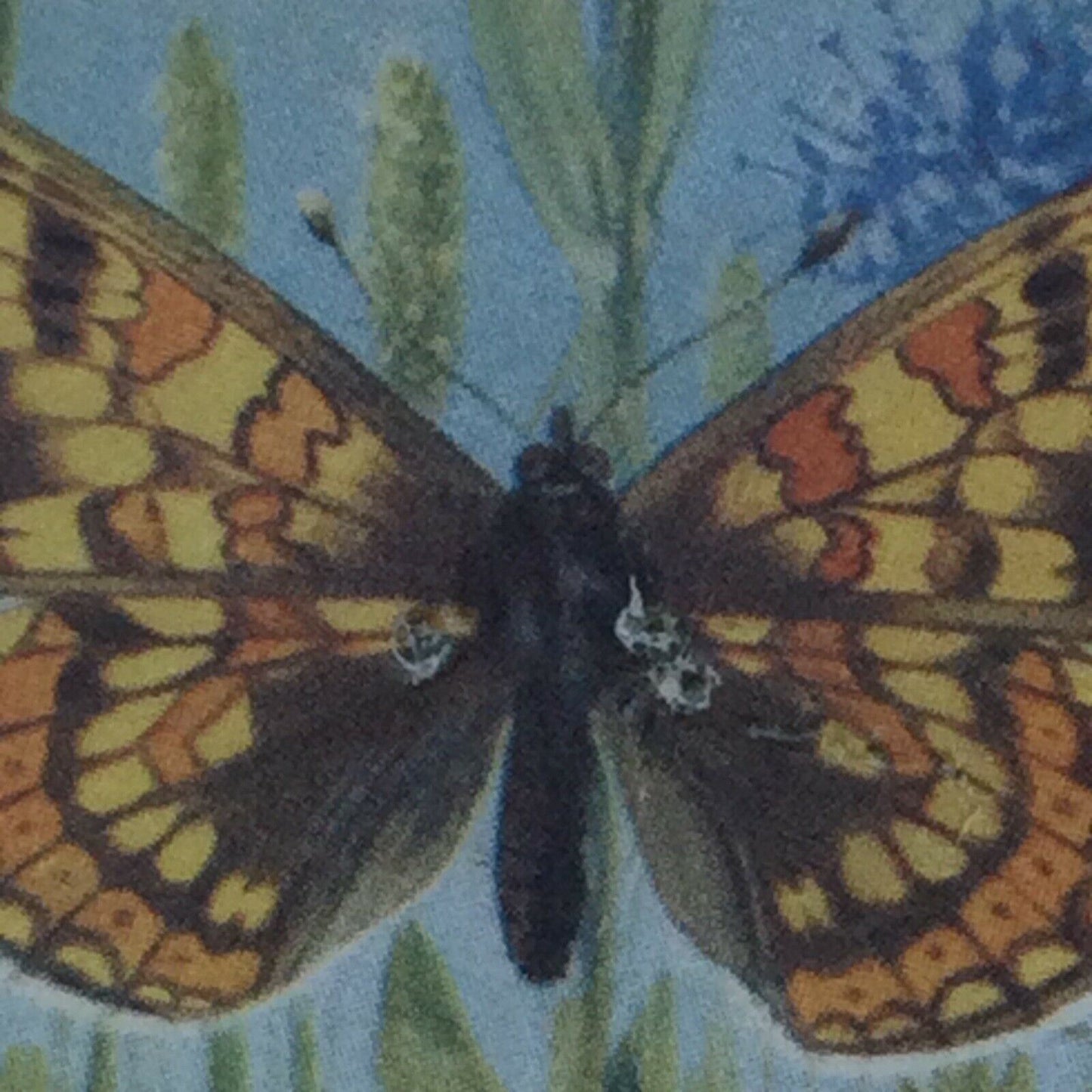 BRITISH BUTTERFLIES Brooke Bond Tea Cards - sold individually - take your pick