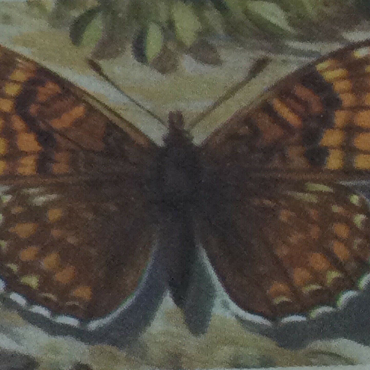 BRITISH BUTTERFLIES Brooke Bond Tea Cards - sold individually - take your pick