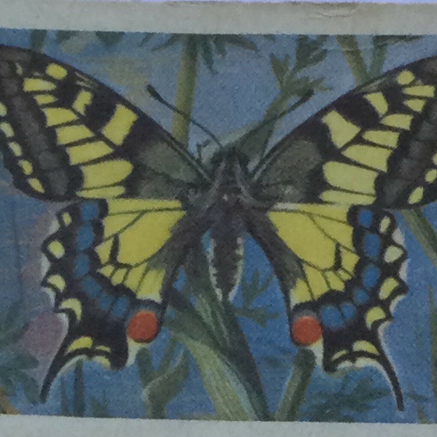BRITISH BUTTERFLIES Brooke Bond Tea Cards - sold individually - take your pick