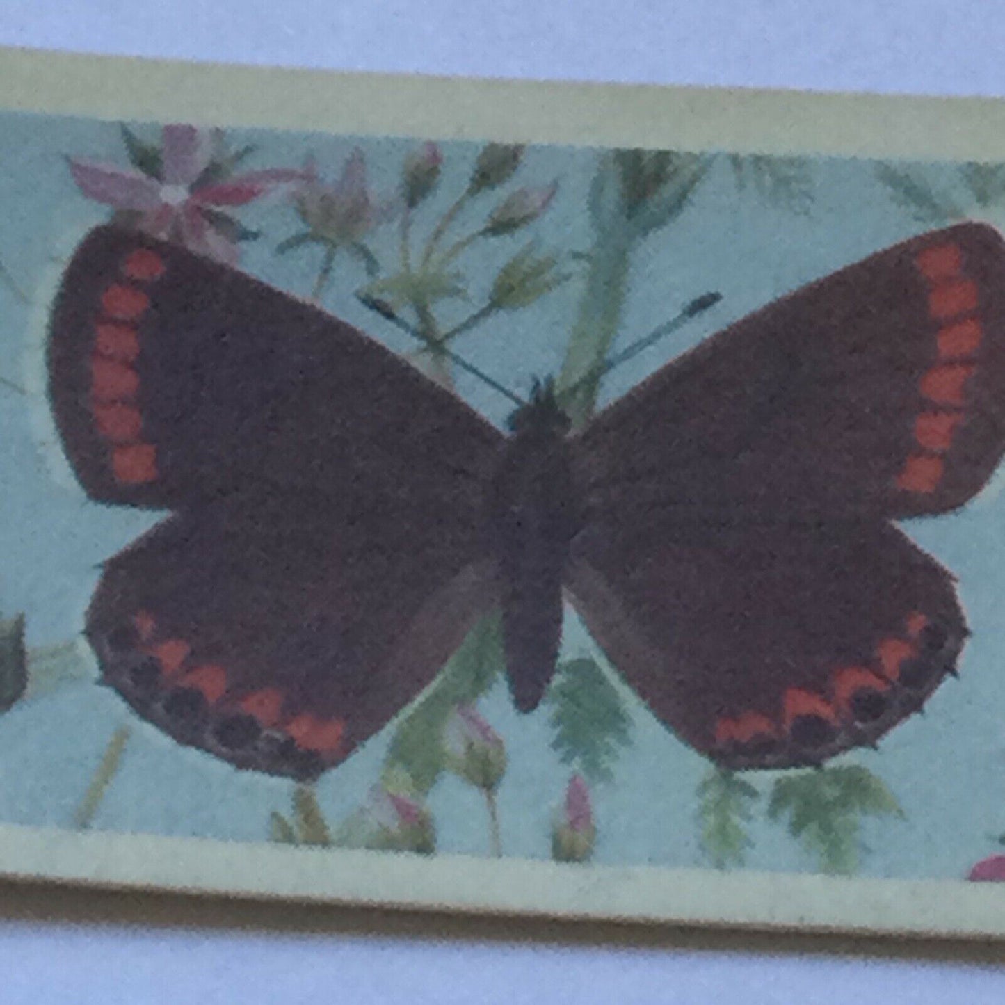 BRITISH BUTTERFLIES Brooke Bond Tea Cards - sold individually - take your pick