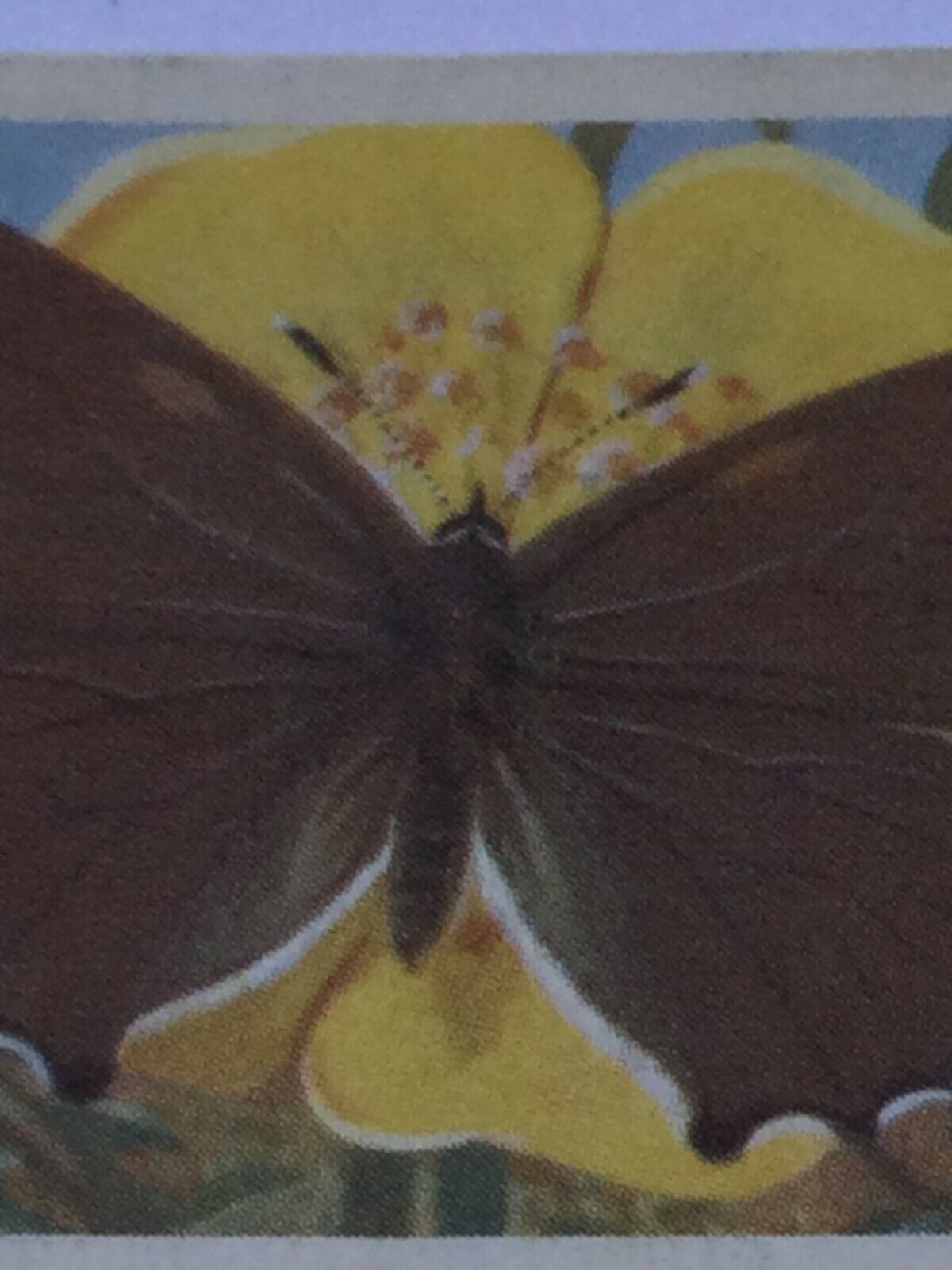 BRITISH BUTTERFLIES Brooke Bond Tea Cards - sold individually - take your pick