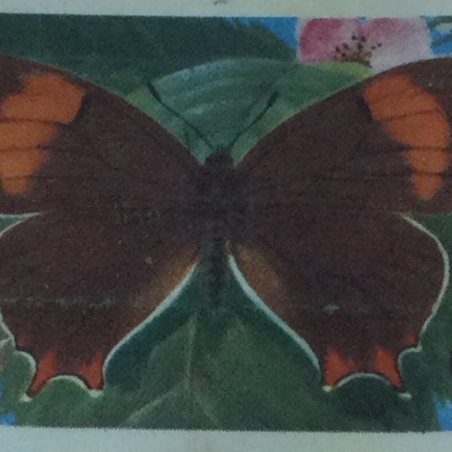 BRITISH BUTTERFLIES Brooke Bond Tea Cards - sold individually - take your pick