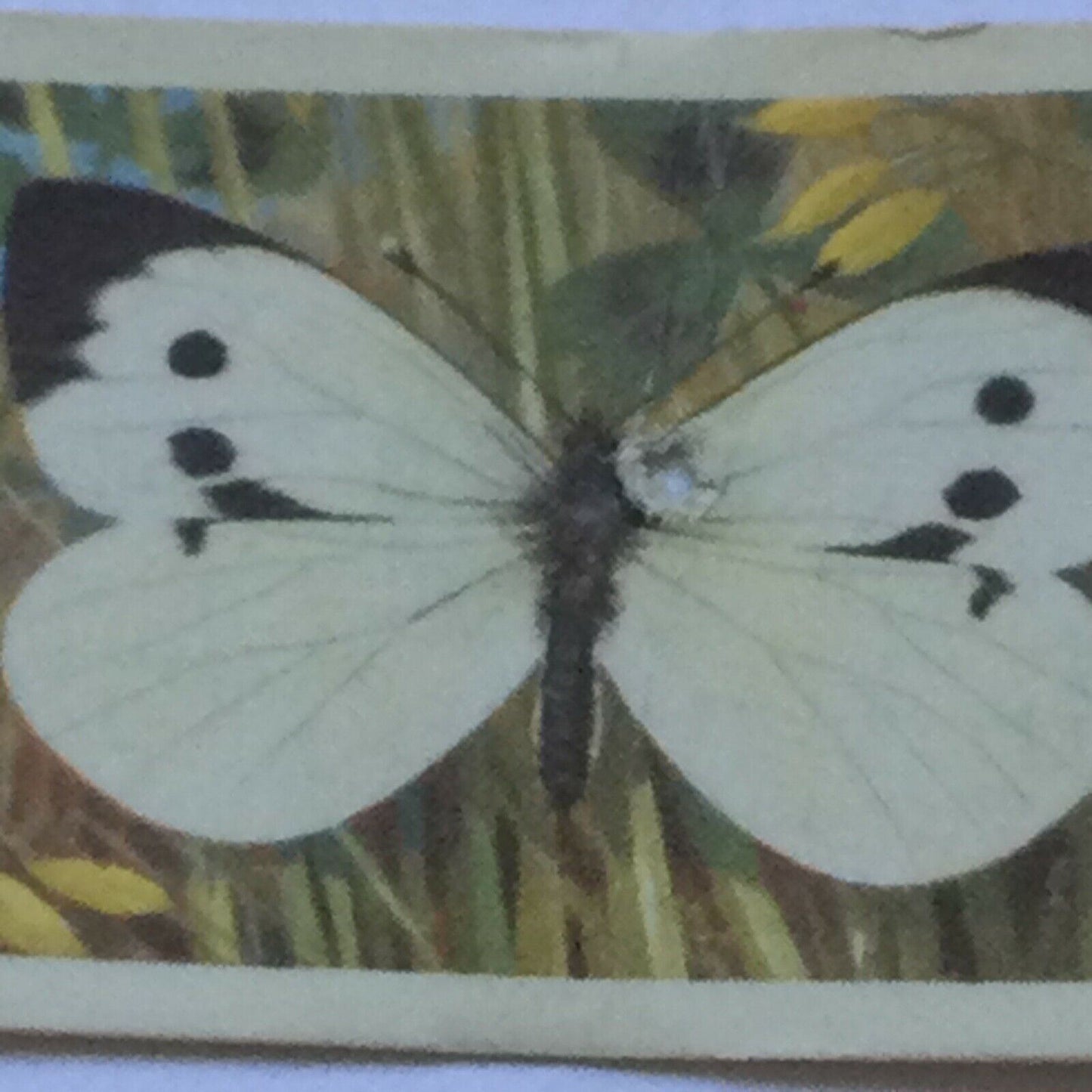BRITISH BUTTERFLIES Brooke Bond Tea Cards - sold individually - take your pick