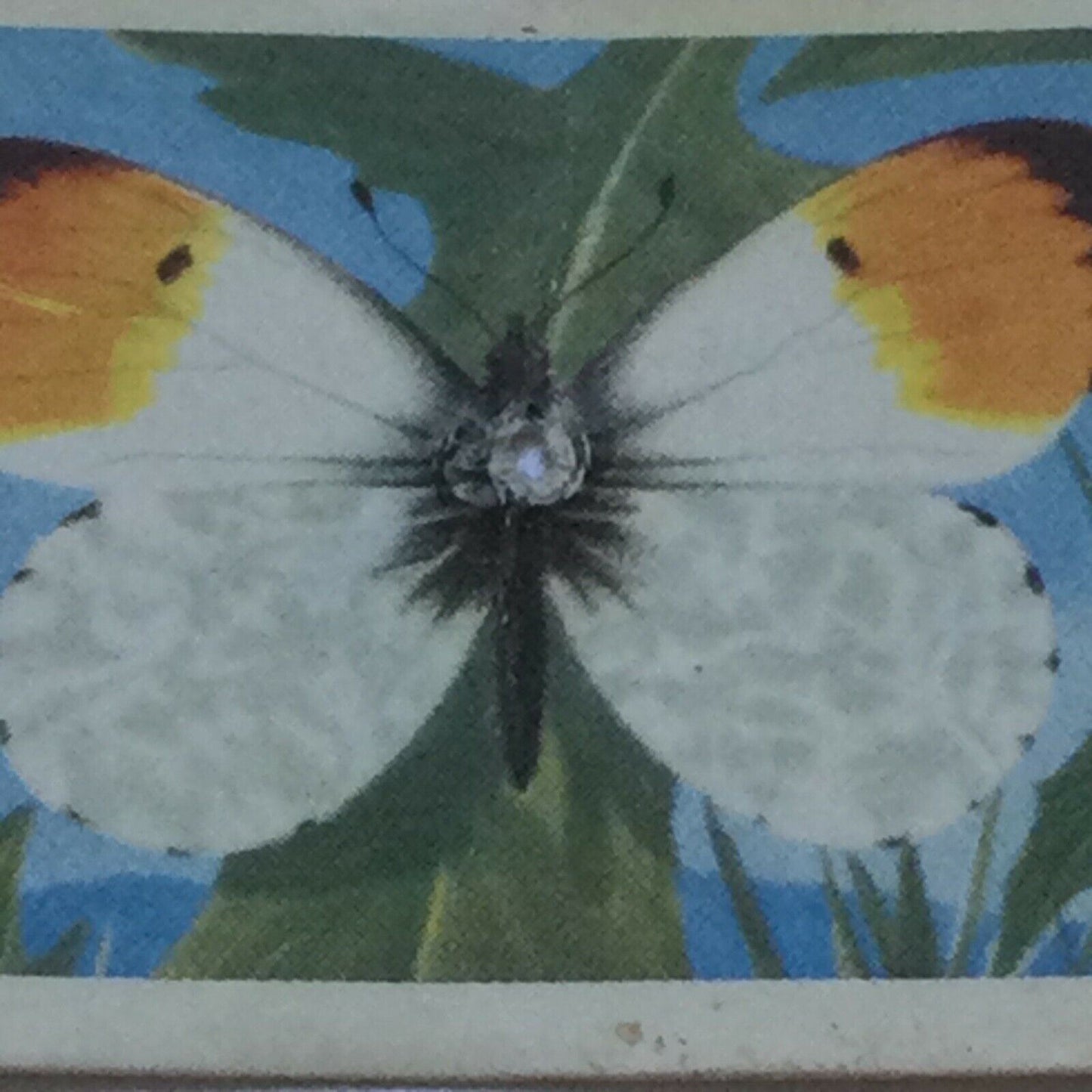 BRITISH BUTTERFLIES Brooke Bond Tea Cards - sold individually - take your pick