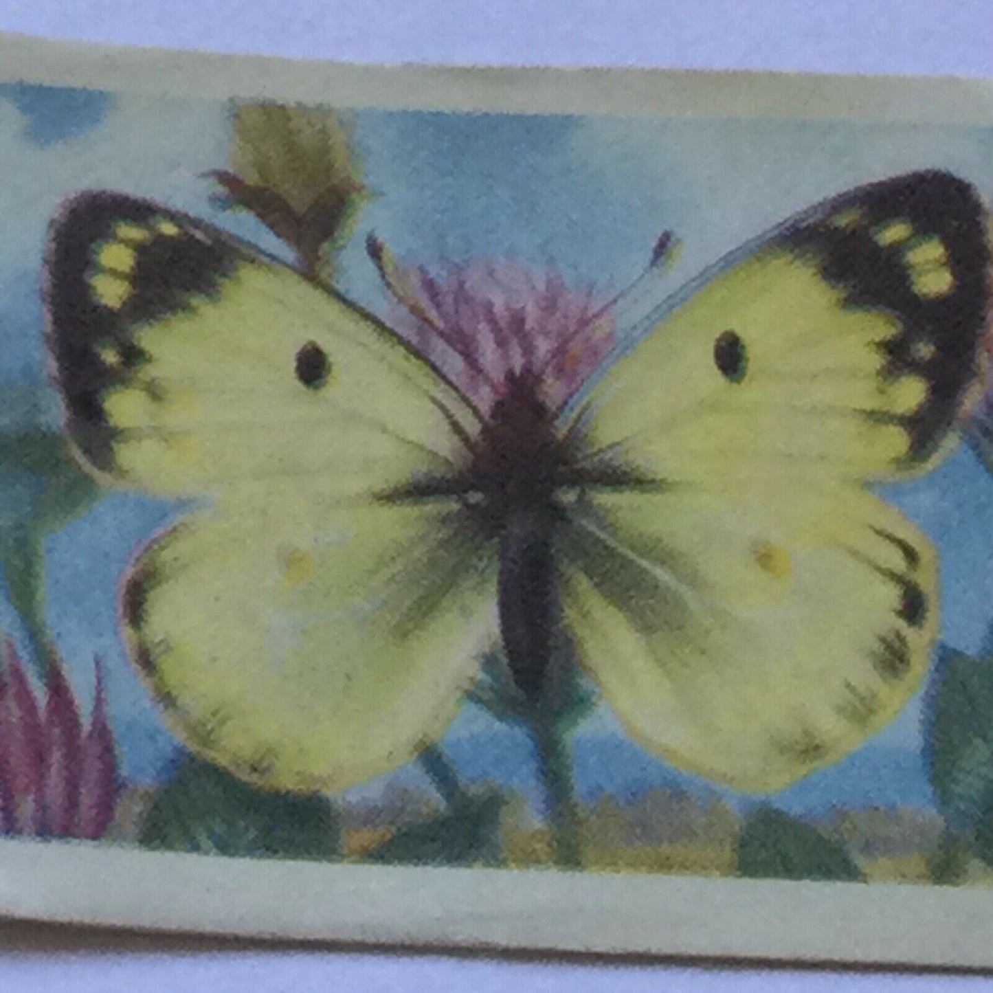 BRITISH BUTTERFLIES Brooke Bond Tea Cards - sold individually - take your pick