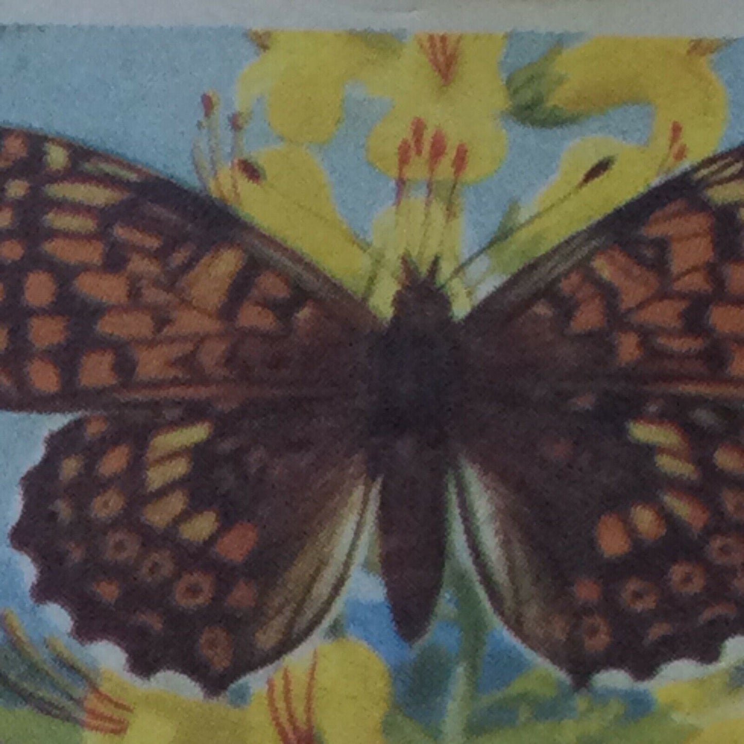 BRITISH BUTTERFLIES Brooke Bond Tea Cards - sold individually - take your pick