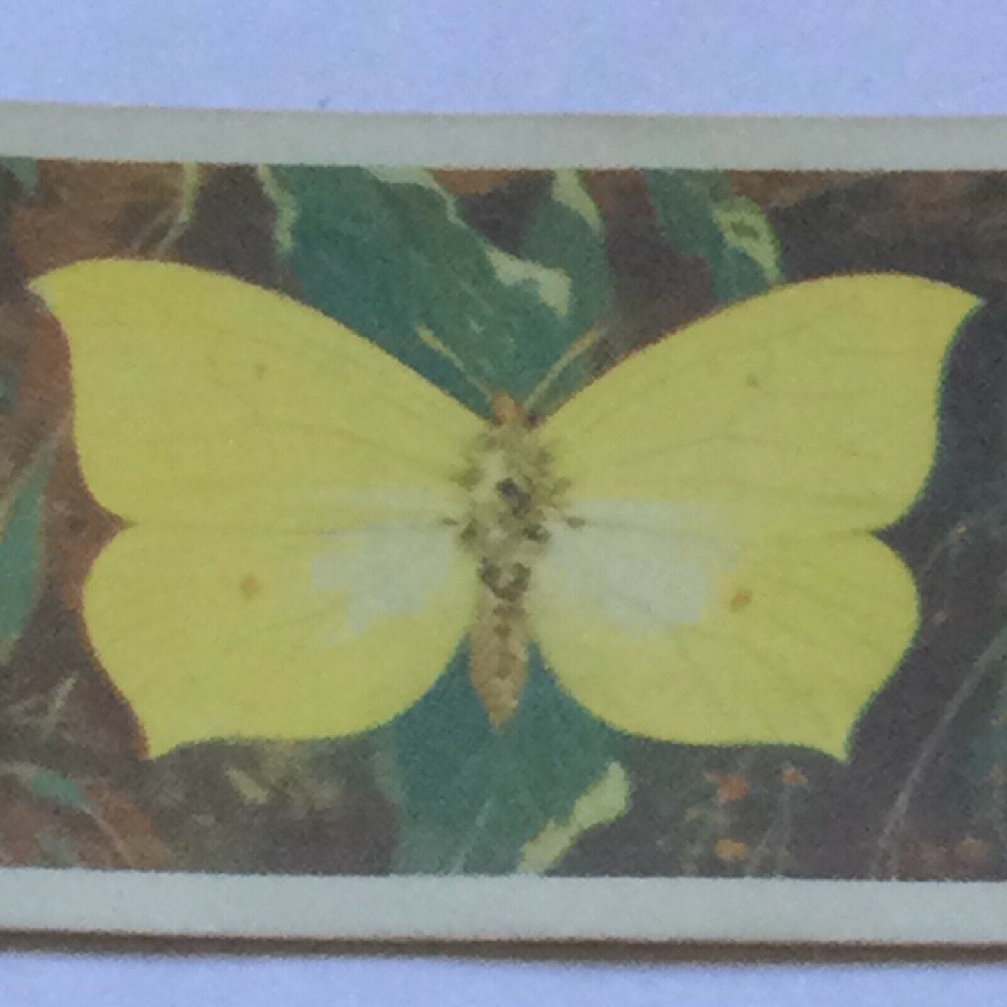 BRITISH BUTTERFLIES Brooke Bond Tea Cards - sold individually - take your pick
