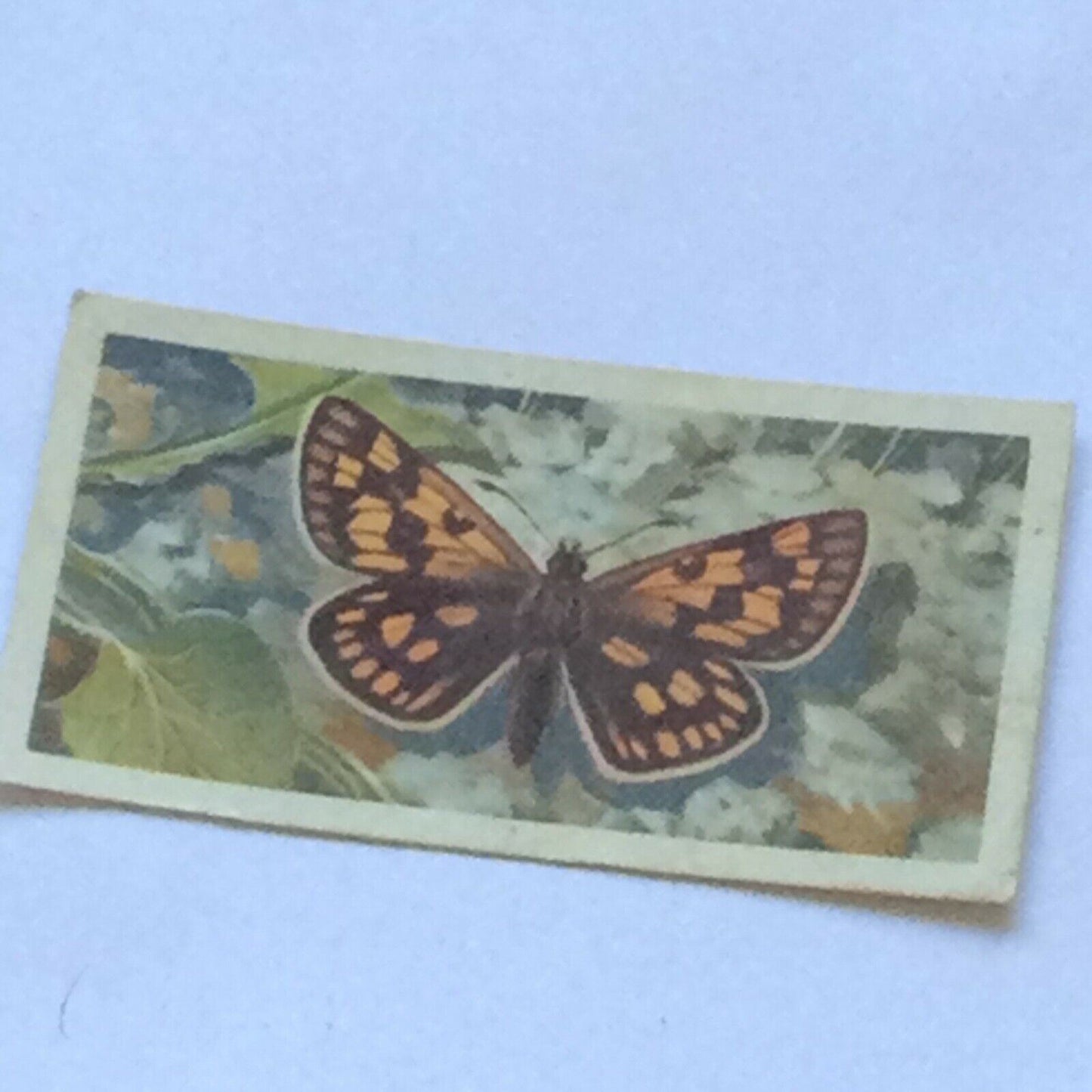 BRITISH BUTTERFLIES Brooke Bond Tea Cards - sold individually - take your pick
