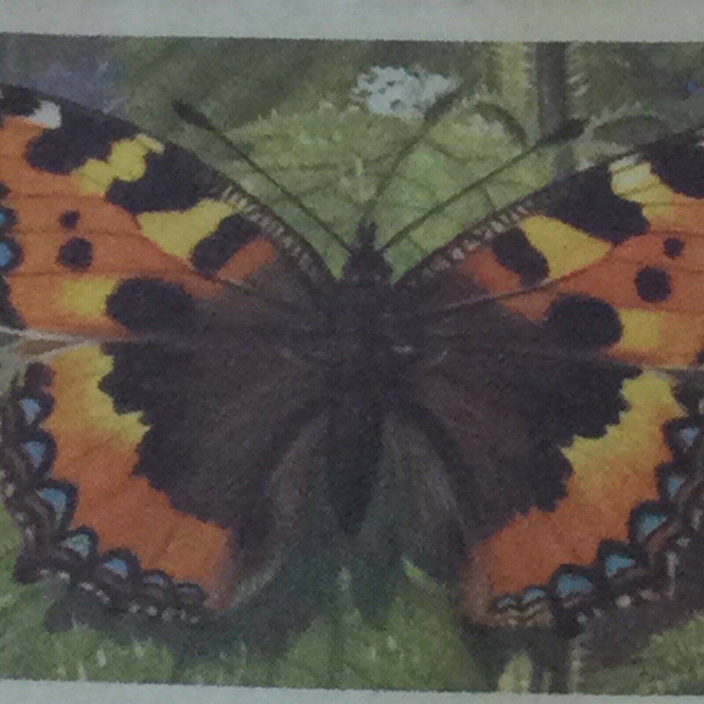BRITISH BUTTERFLIES Brooke Bond Tea Cards - sold individually - take your pick