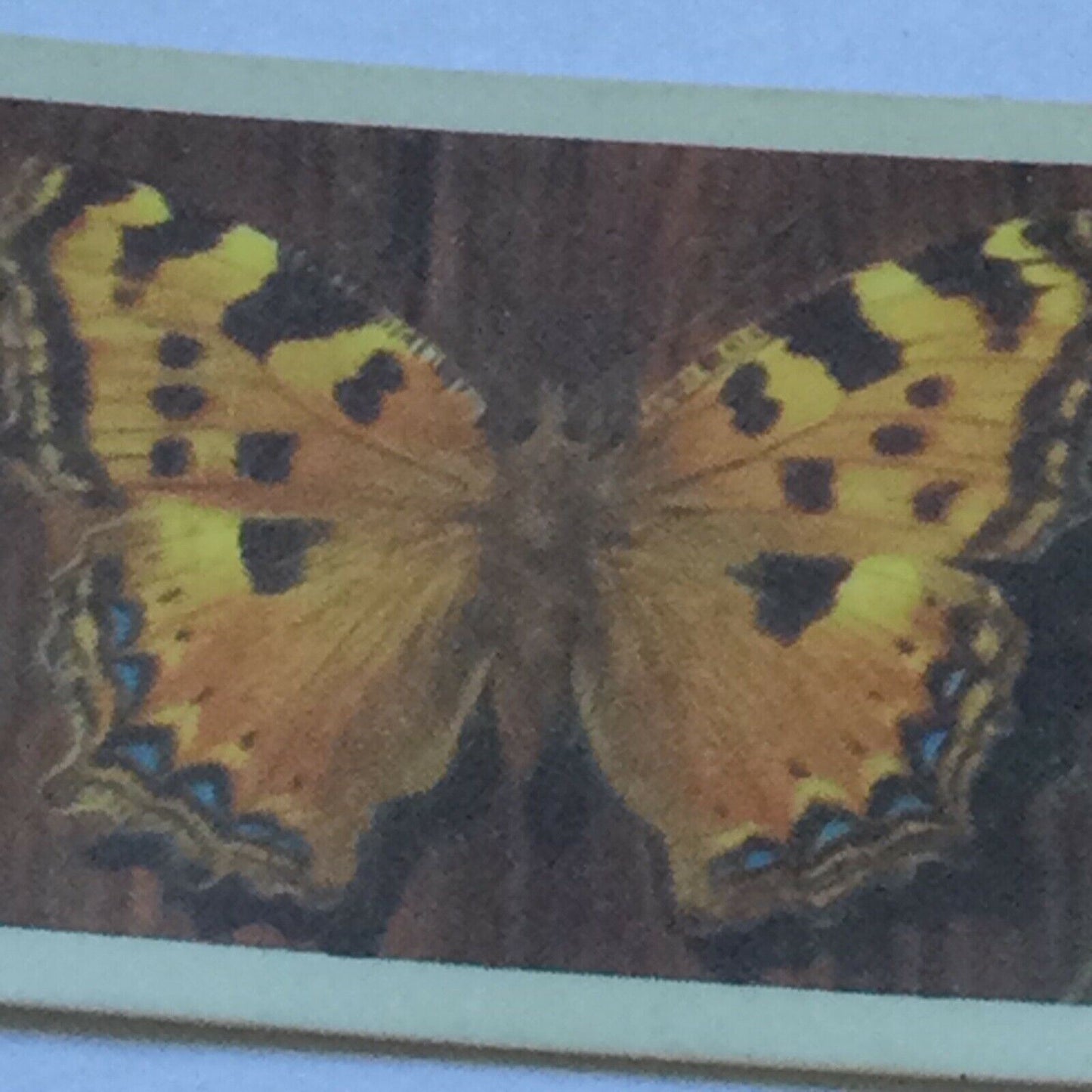 BRITISH BUTTERFLIES Brooke Bond Tea Cards - sold individually - take your pick