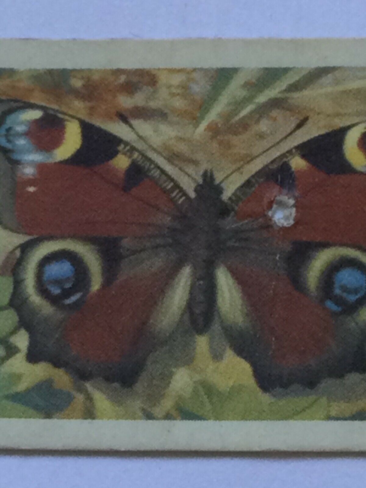 BRITISH BUTTERFLIES Brooke Bond Tea Cards - sold individually - take your pick