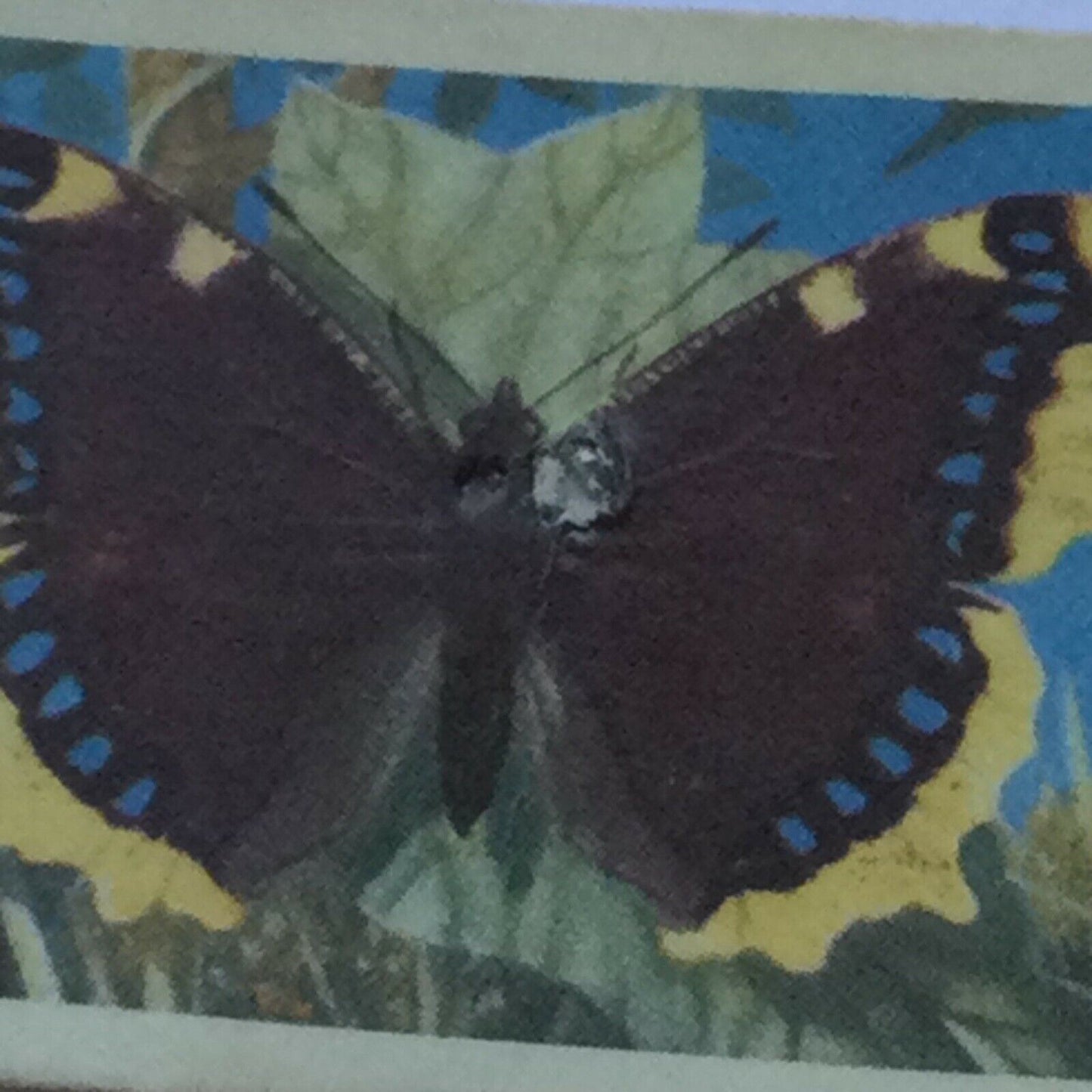 BRITISH BUTTERFLIES Brooke Bond Tea Cards - sold individually - take your pick