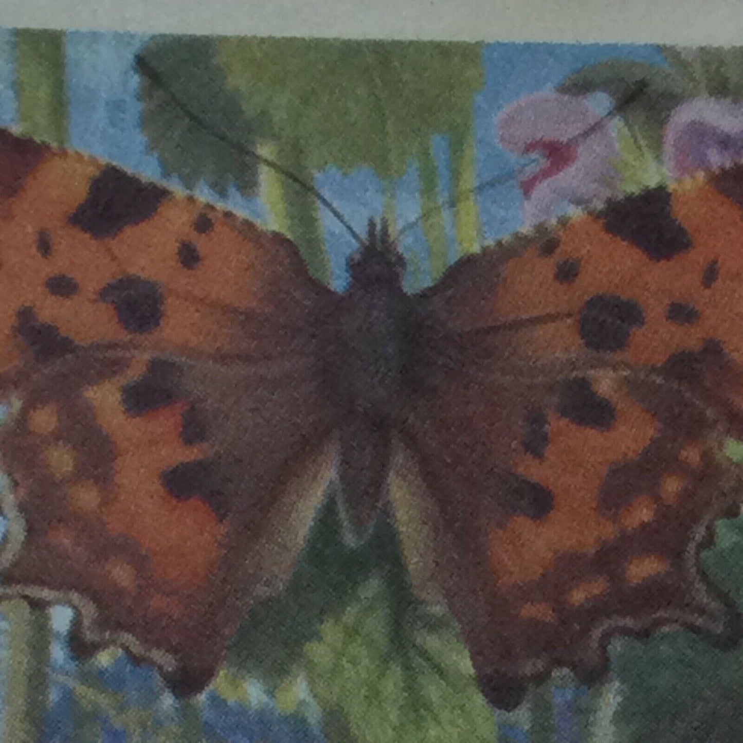 BRITISH BUTTERFLIES Brooke Bond Tea Cards - sold individually - take your pick