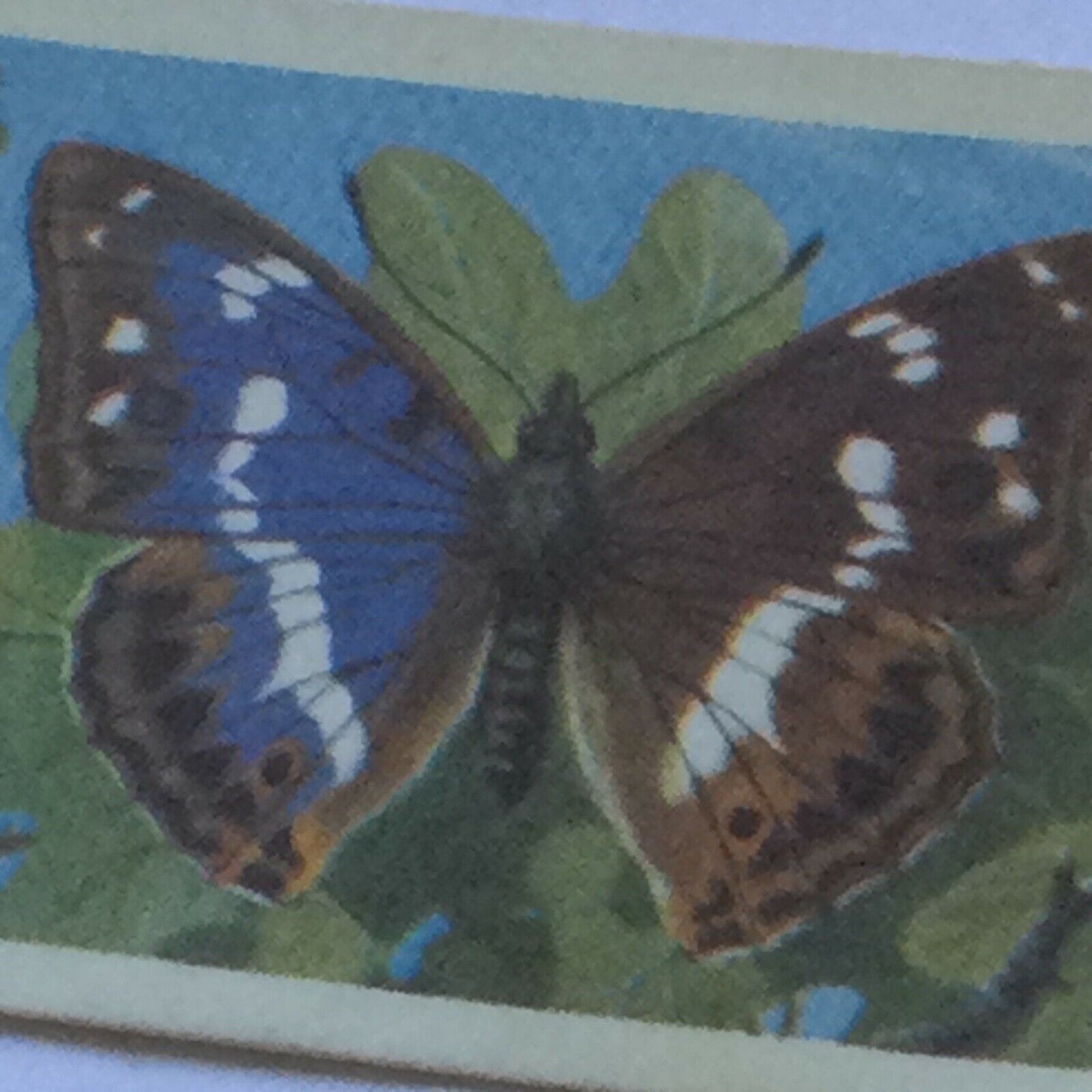 BRITISH BUTTERFLIES Brooke Bond Tea Cards - sold individually - take your pick