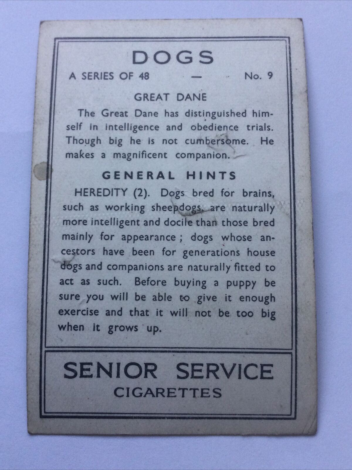 GREAT DANE VINTAGE PHOTO CIGARETTE CARD SENIOR SERVICE DOGS #9 Creased