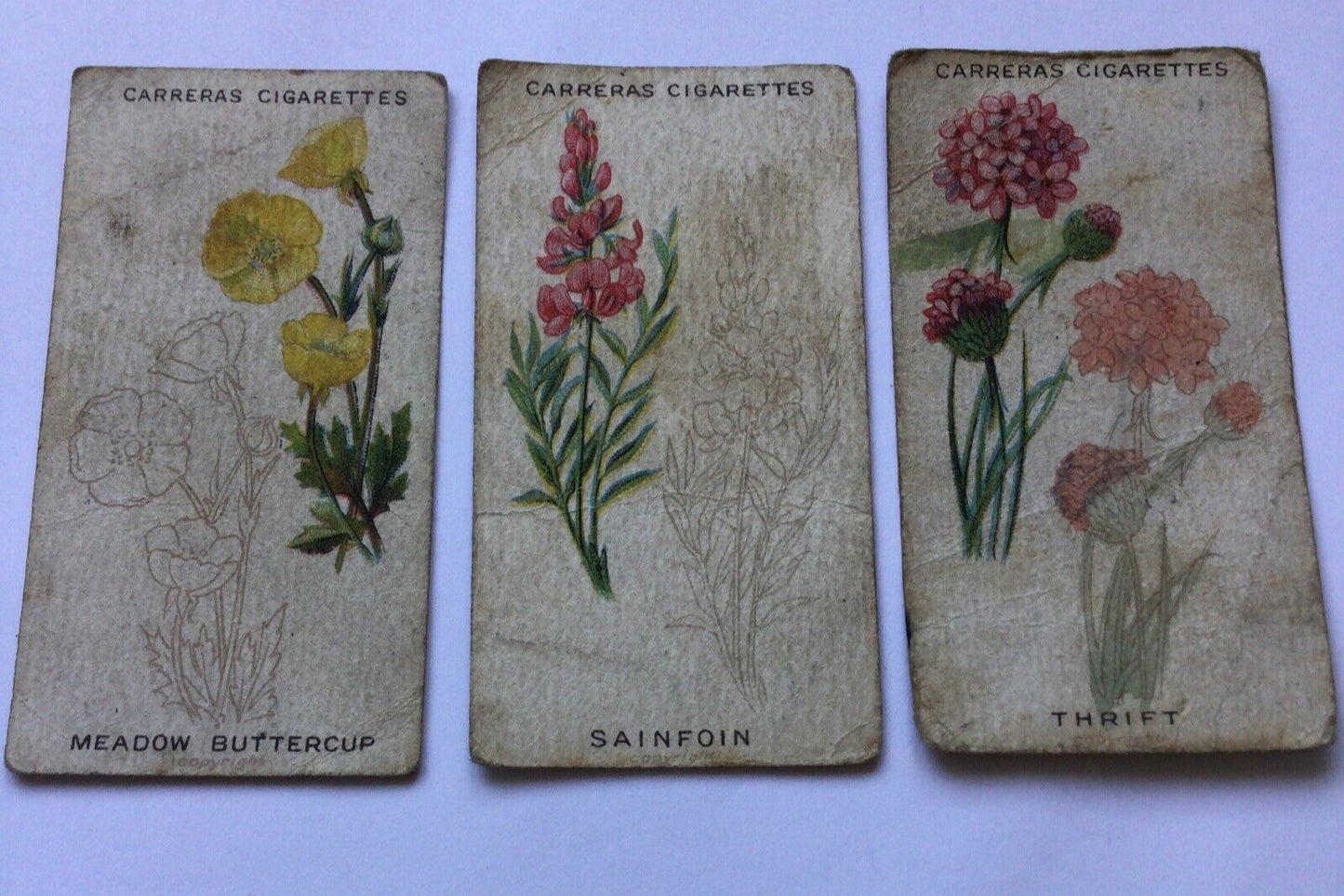 CARRERAS WILD FLOWER ART SERIES Cigarette Cards 3 x Cards nos. 2, 15, 20. Meadow Buttercup