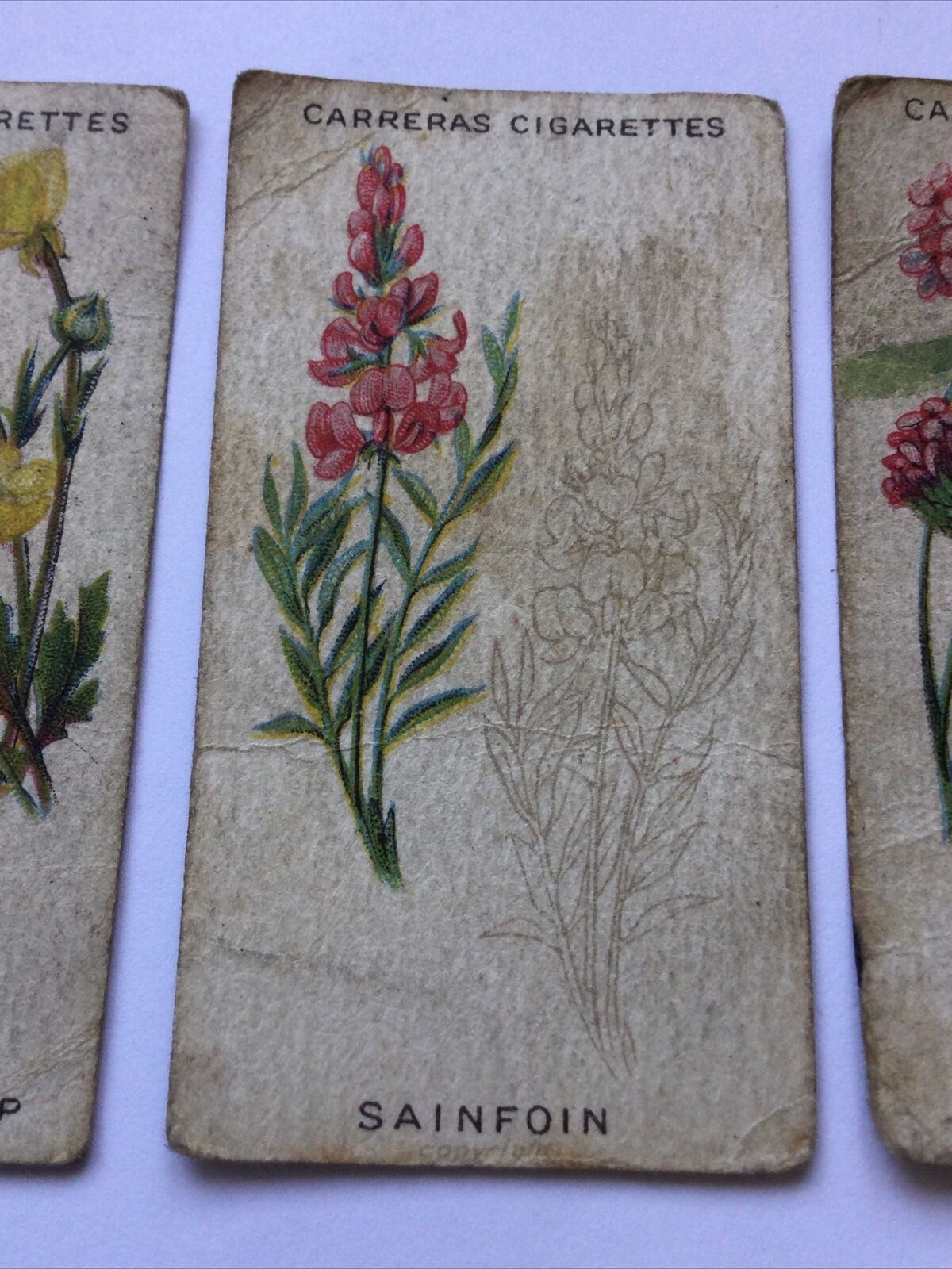 CARRERAS WILD FLOWER ART SERIES Cigarette Cards 3 x Cards nos. 2, 15, 20. Meadow Buttercup