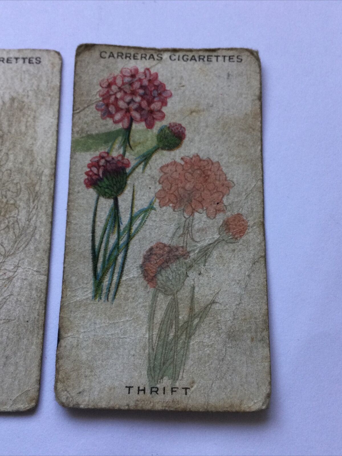 CARRERAS WILD FLOWER ART SERIES Cigarette Cards 3 x Cards nos. 2, 15, 20. Meadow Buttercup