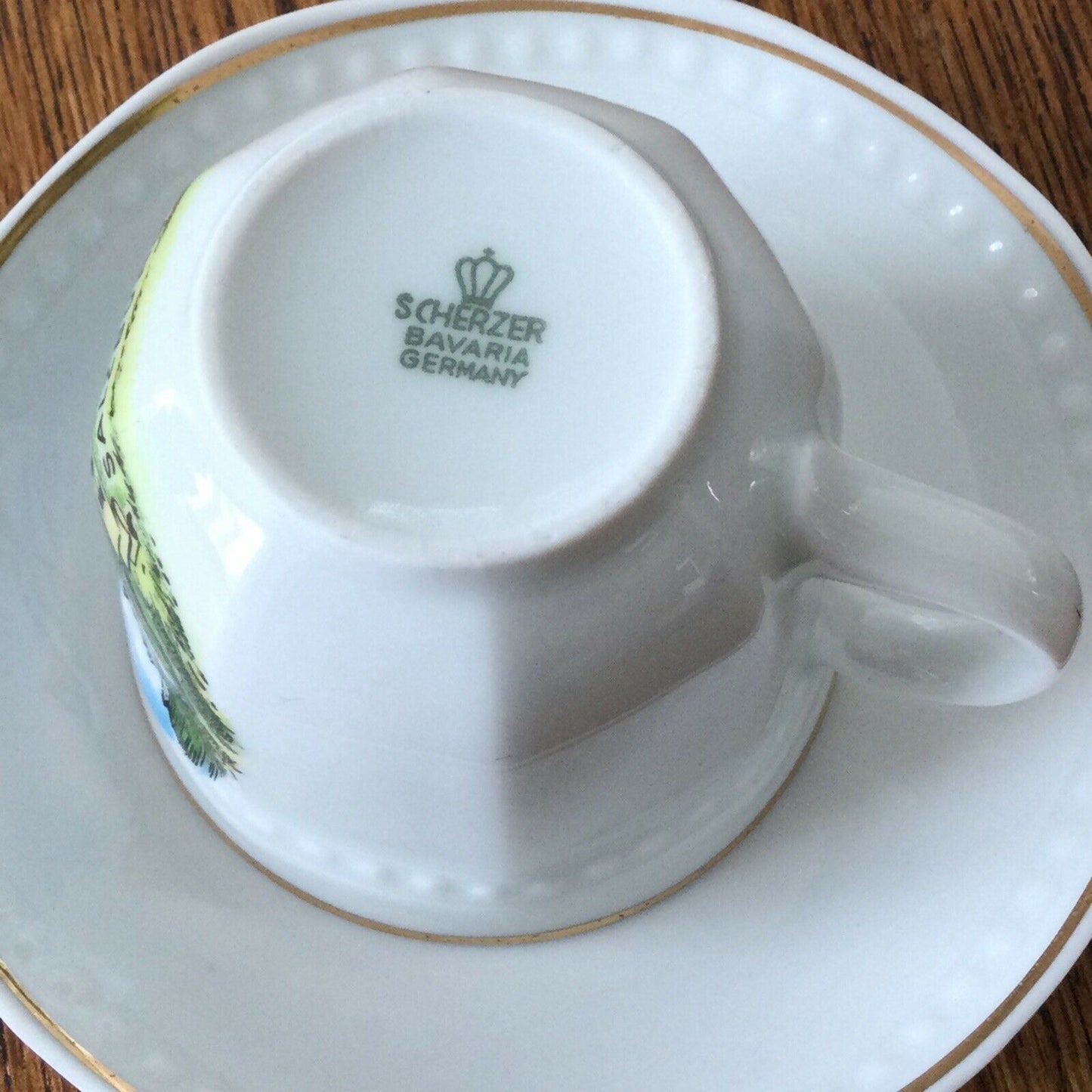 Vintage Souvenir RAURIS SALZBURG Austria Cup & Saucer. Made in Germany by Scherzer Bavaria