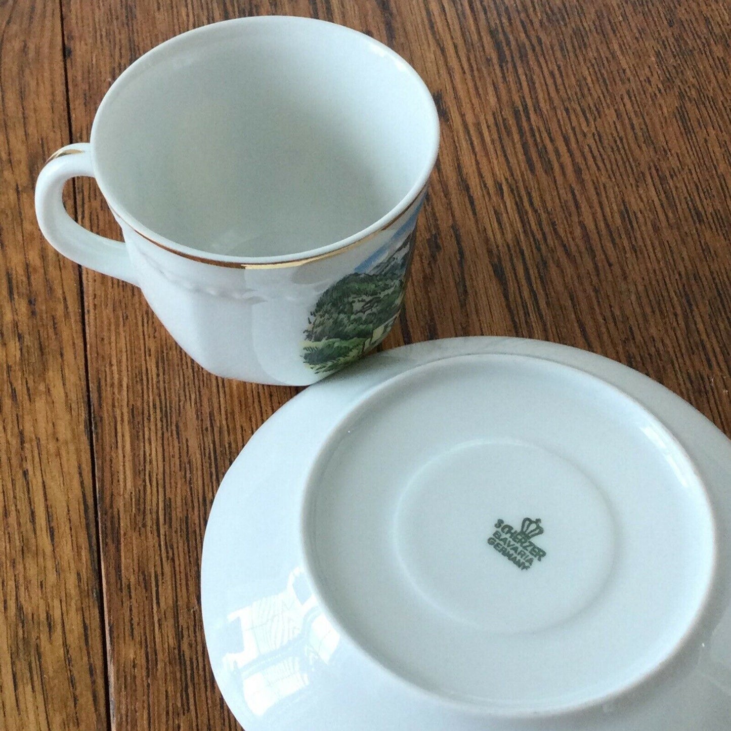Vintage Souvenir RAURIS SALZBURG Austria Cup & Saucer. Made in Germany by Scherzer Bavaria