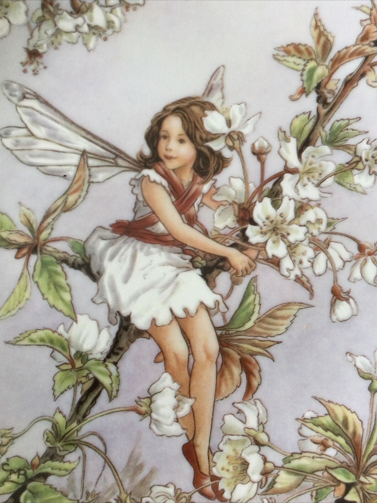 WILD CHERRY BLOSSOM FAIRY VINTAGE FLOWER FAIRY plate Cicely Mary Barker 1989