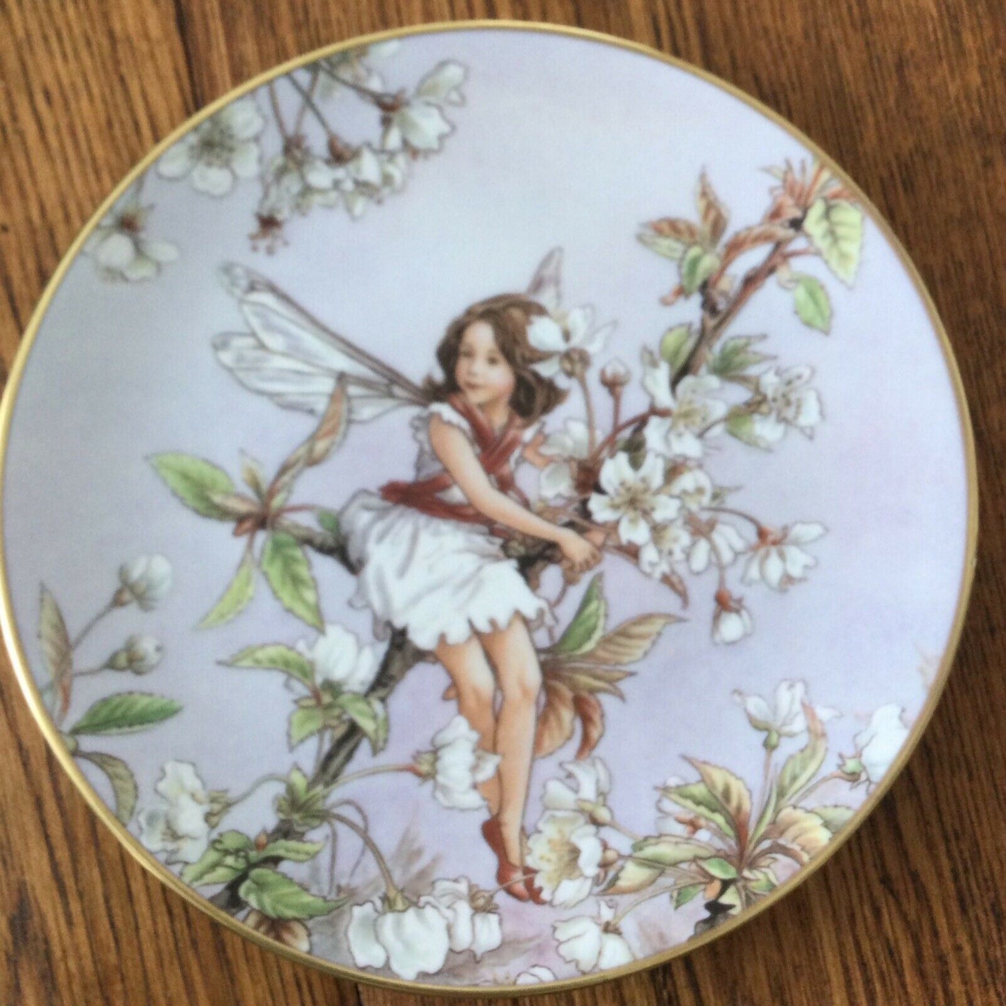 WILD CHERRY BLOSSOM FAIRY VINTAGE FLOWER FAIRY plate Cicely Mary Barker 1989