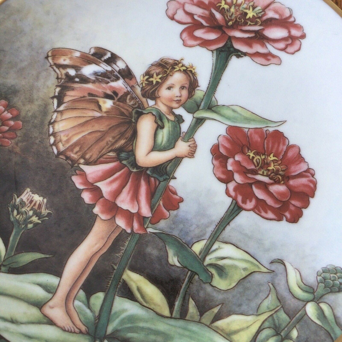 ZINNIA FAIRY 1989 VINTAGE FLOWER FAIRY plate Cicely Mary Barker Gresham a4794
