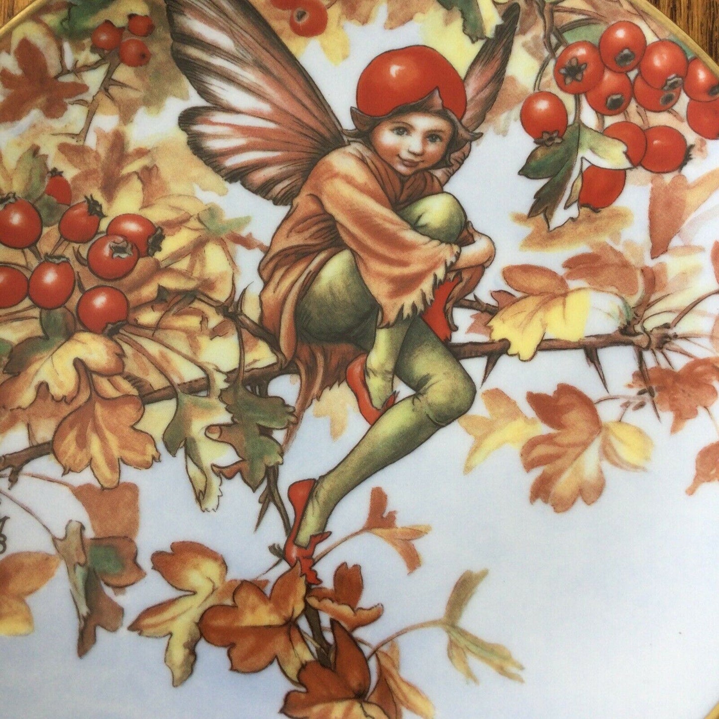VINTAGE FLOWER FAIRY plate Cicely Mary Barker HAWTHORN FAIRY 1989 Gresham a3339