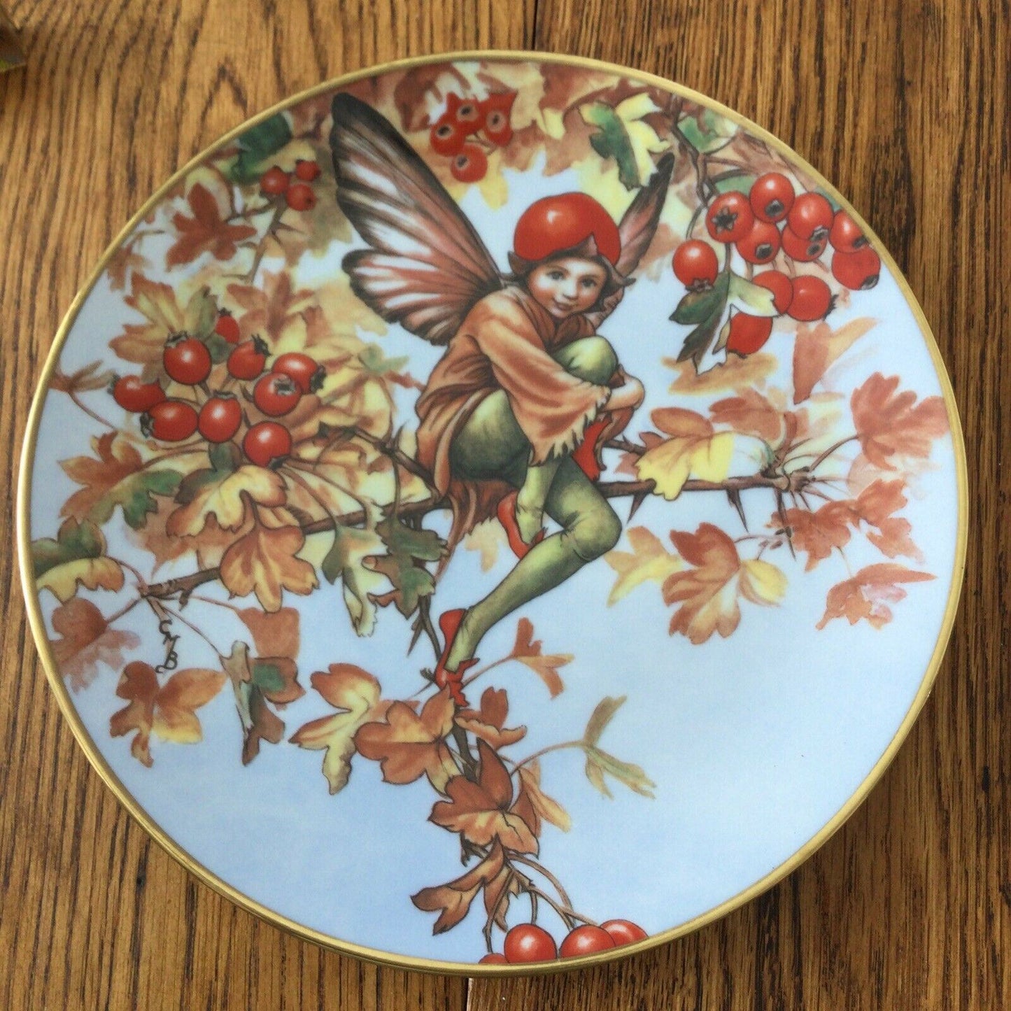 VINTAGE FLOWER FAIRY plate Cicely Mary Barker HAWTHORN FAIRY 1989 Gresham a3339