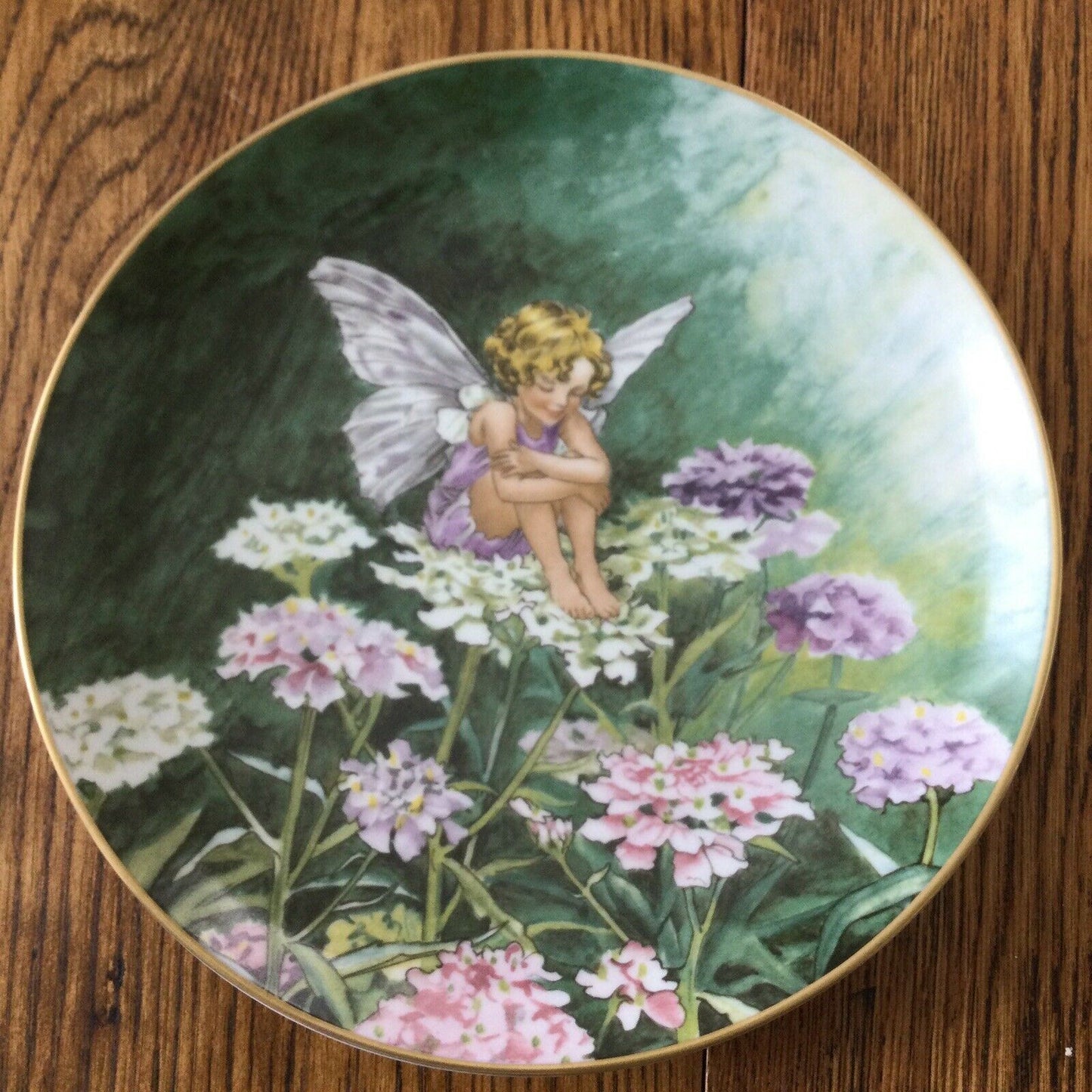 VILLEROY & BOCH HEINRICH FLOWER FAIRY plate Cicely Mary Barker CANDYTUFT 388B