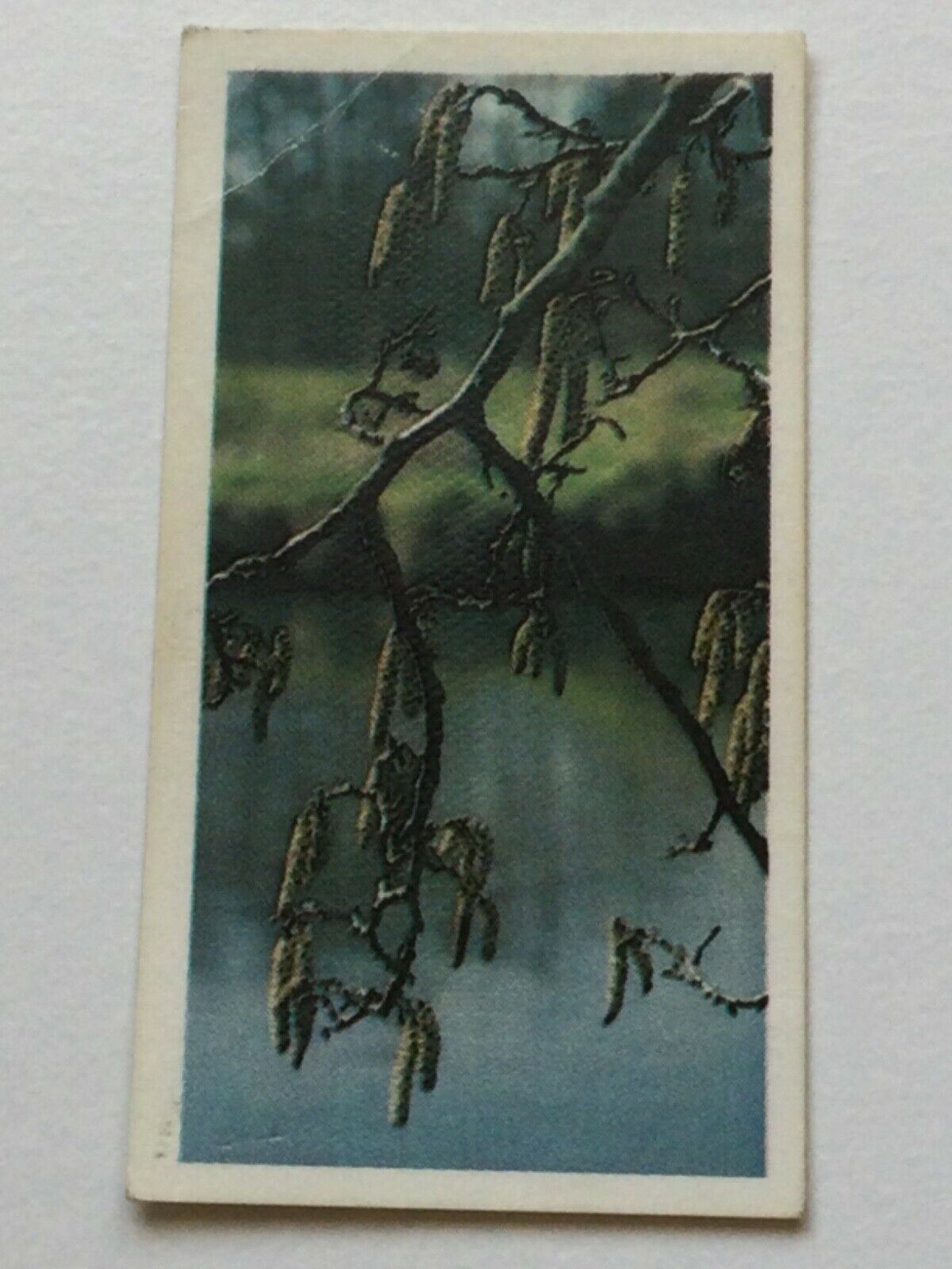 WOODLAND WILDLIFE Brooke Bond Tea Cards - Sold individually take your pick