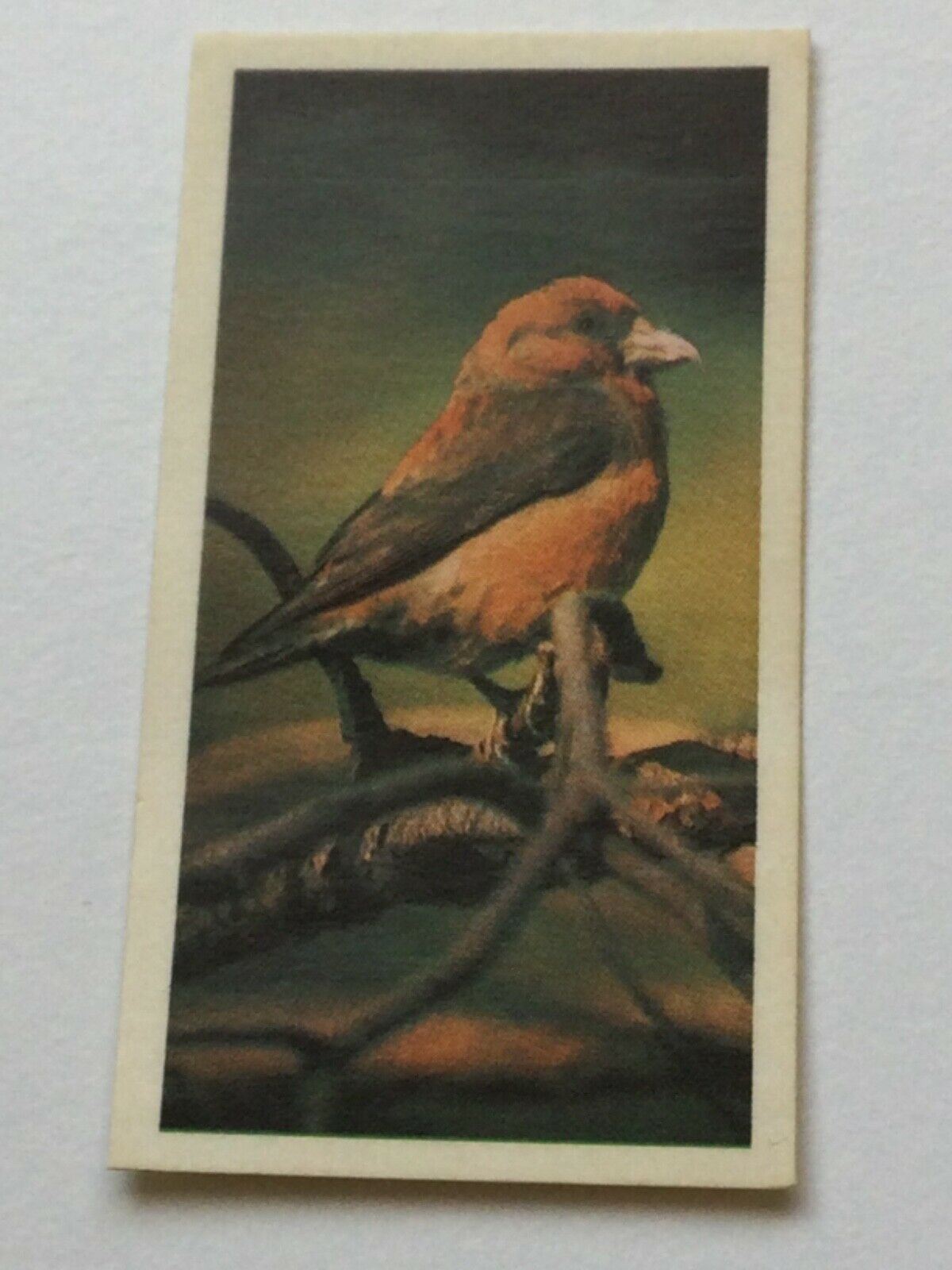 WOODLAND WILDLIFE Brooke Bond Tea Cards - Sold individually take your pick