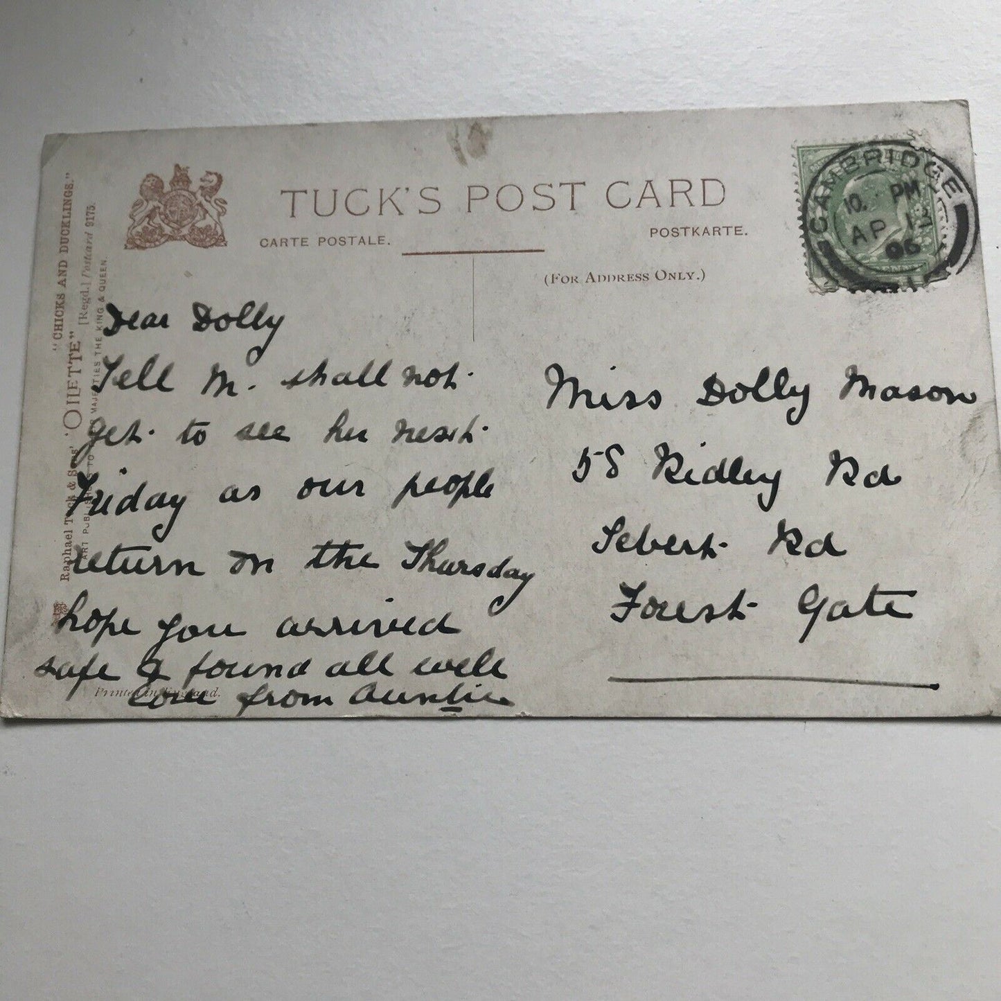 Antique Greetings Postcard Ducklings Kingfisher With Fish ‘You Pirate’ 1906 Pretty Duckling Picture