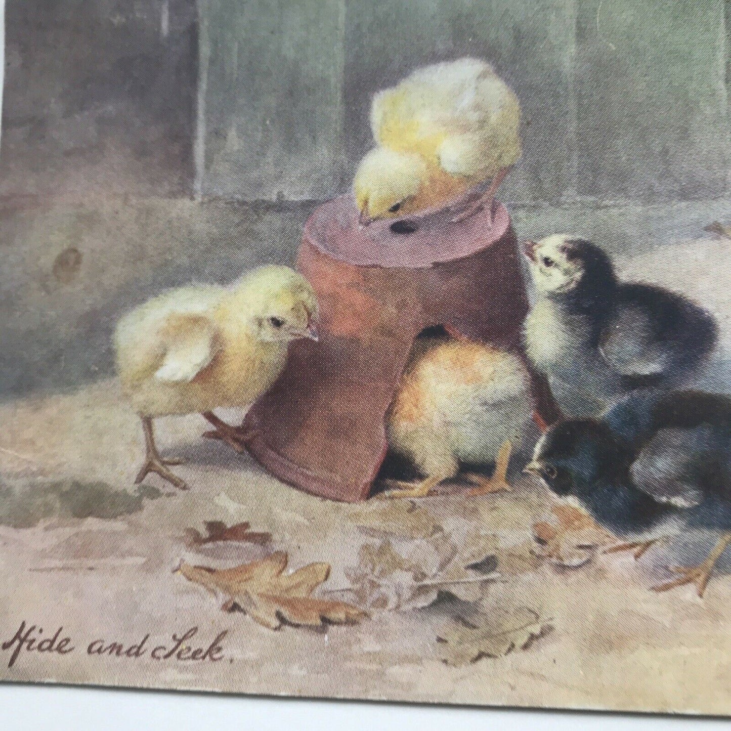 Antique 1906 Greetings Postcard - Cute Chicks In Flowerpot - ‘Hide & Seek’ - Tuck’s Oilette - Great Easter decor