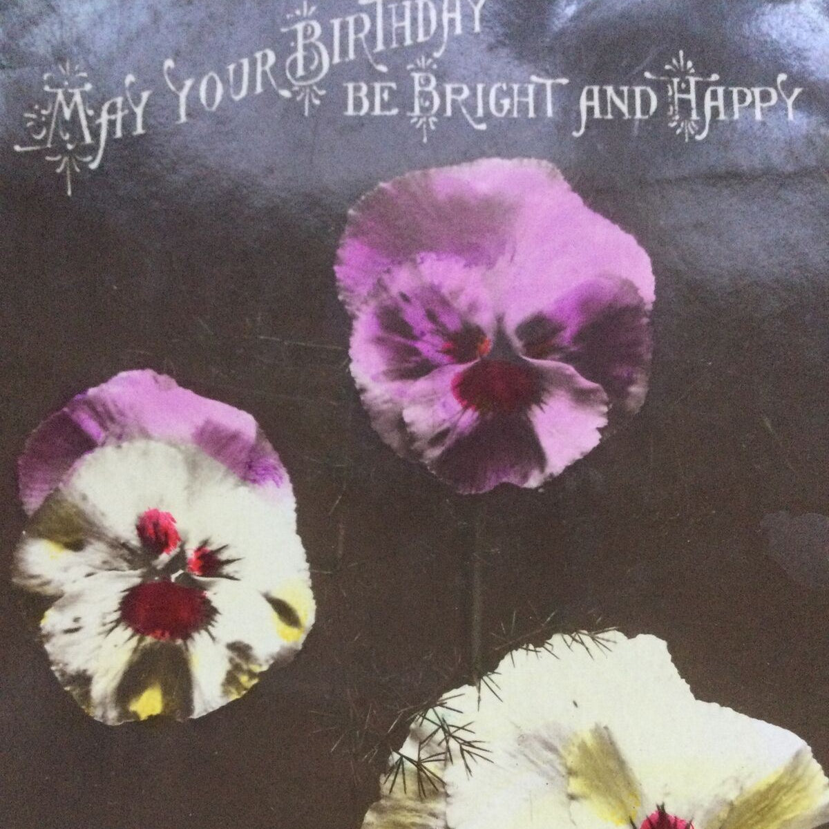 Antique Birthday Greetings Postcard - Pansies Flowers With Nice Poem - Hand Tinted - 1921 - Regent