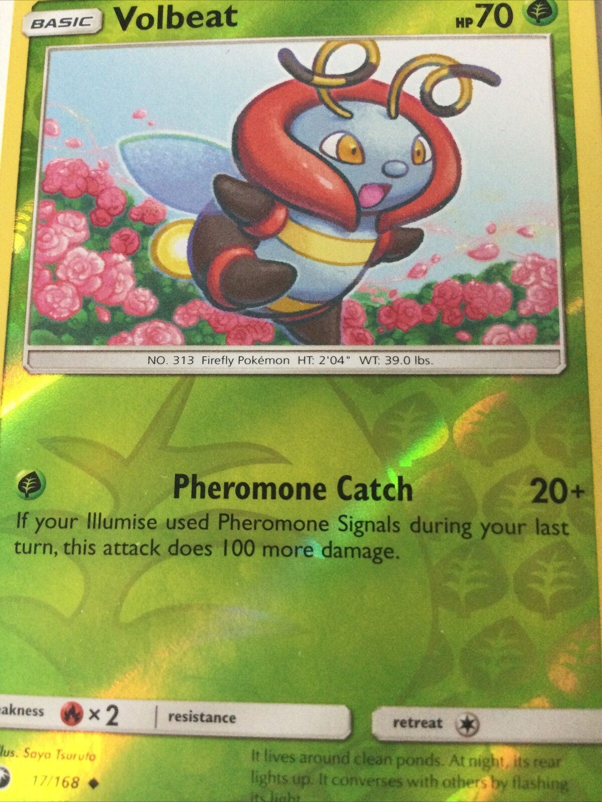 2018 Pokemon Card 17/168 HOLO VOLBEAT Pack Fresh
