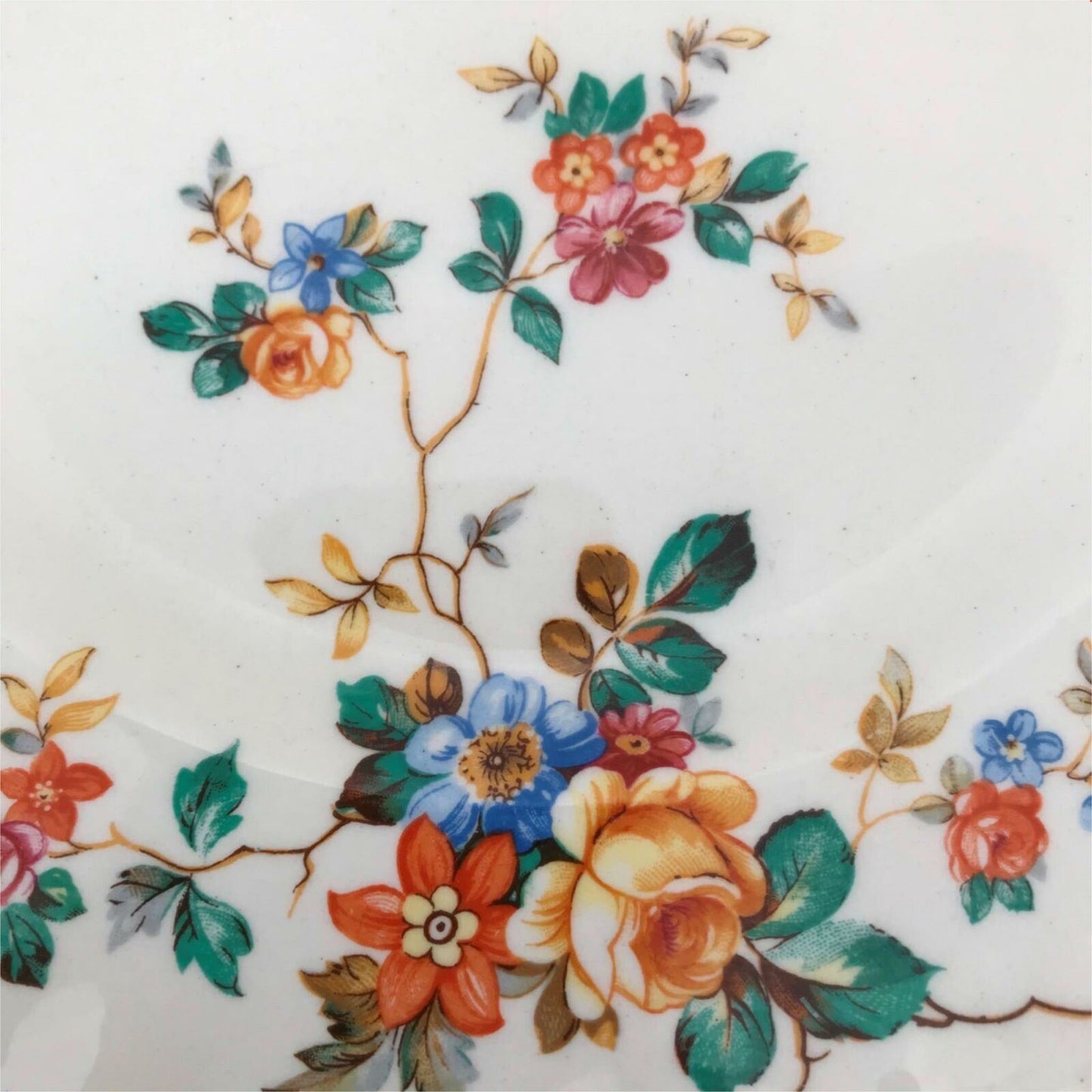 Spare dessert / dinner / luncheon plate GRINDLEY CREAMPETAL NORMA DESIGN 23cm 9" floral rose design vintage