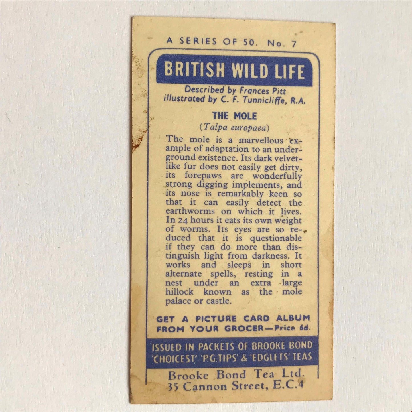 BRITISH WILD LIFE - Brooke Bond Tea Cards - Take your pick - wildlife pictures