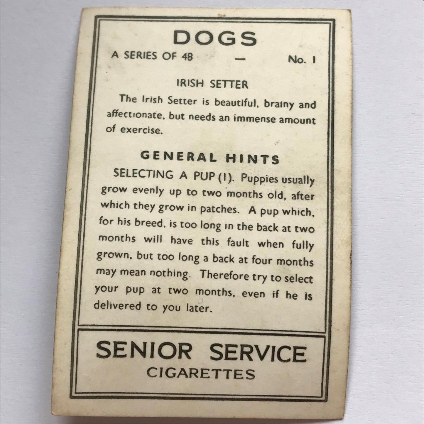 DOGS - SENIOR SERVICE CIGARETTE CARDS 1930S PHOTOS - take your pick