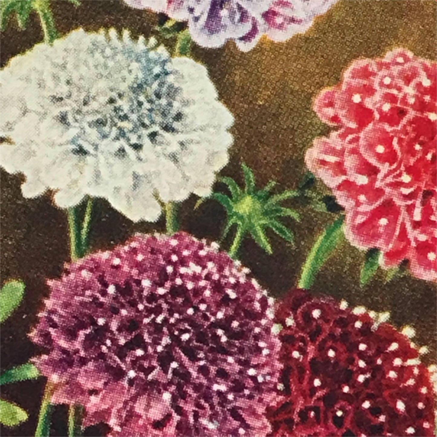 Wills Cigarette Cards GARDEN FLOWERS 1939 1930s - Pick! the ones you want