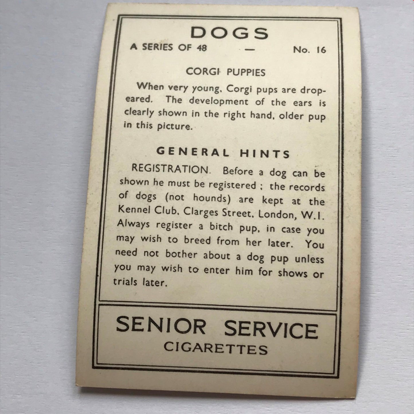 DOGS - SENIOR SERVICE CIGARETTE CARDS 1930S PHOTOS - take your pick