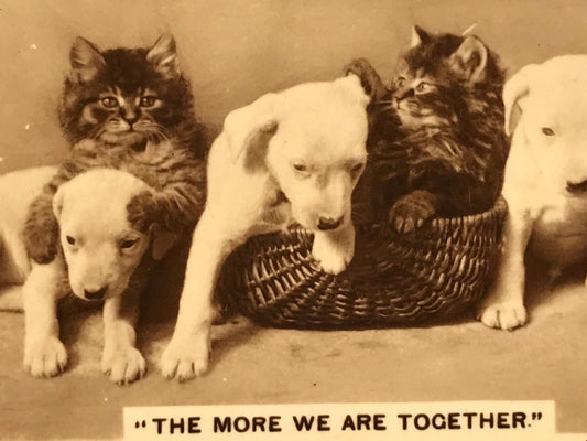 Vintage De Reszke Cigarette Card - Series 5 No. 22 - 'The More We Are Together' - Puppies and kittens playing in basket